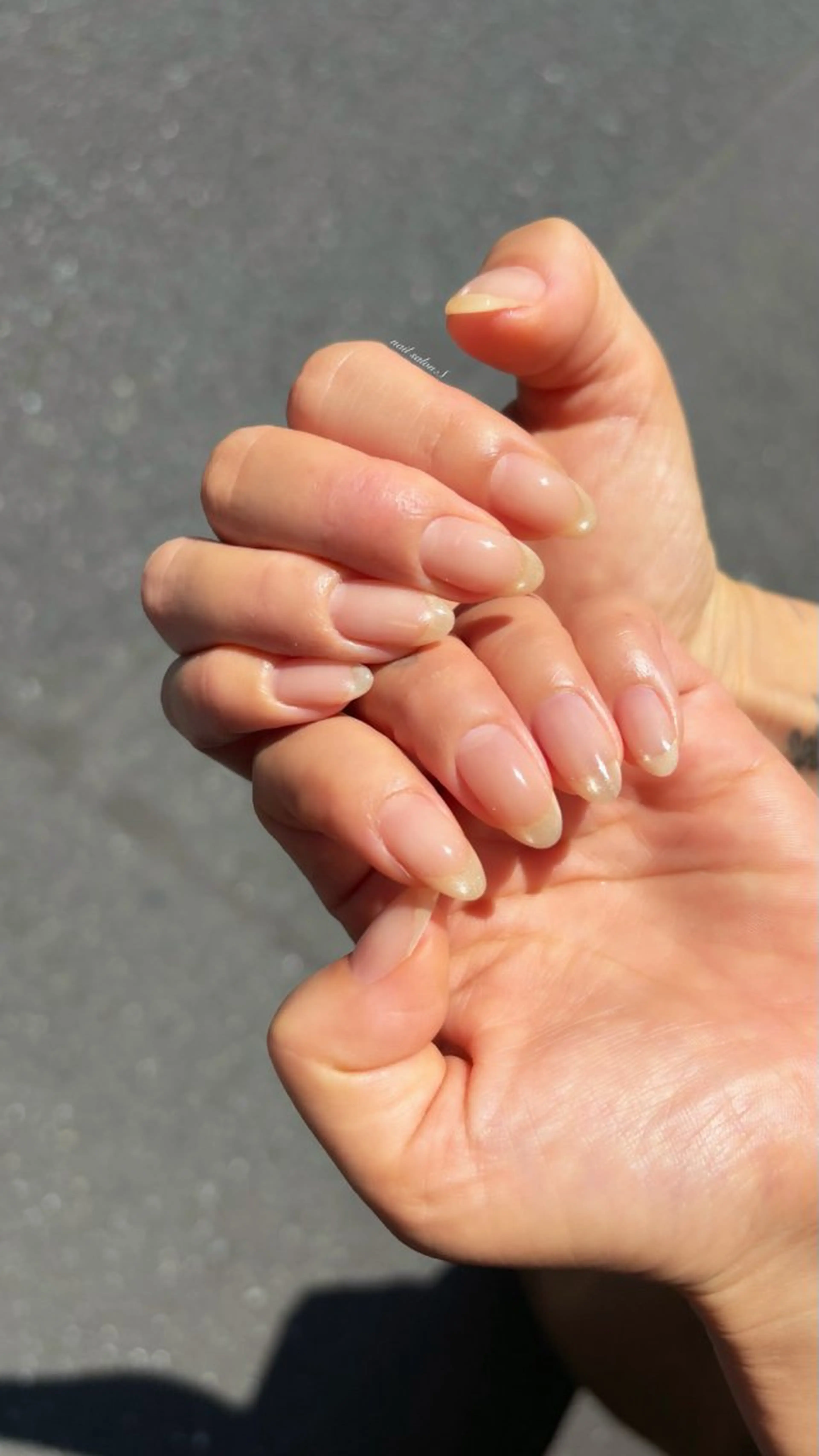 ネイル ジェルネイル マグネットネイル マグネットワンカラー 持ち込み ワンカラーネイル ハンドネイル 関山 志乃のネイルデザイン