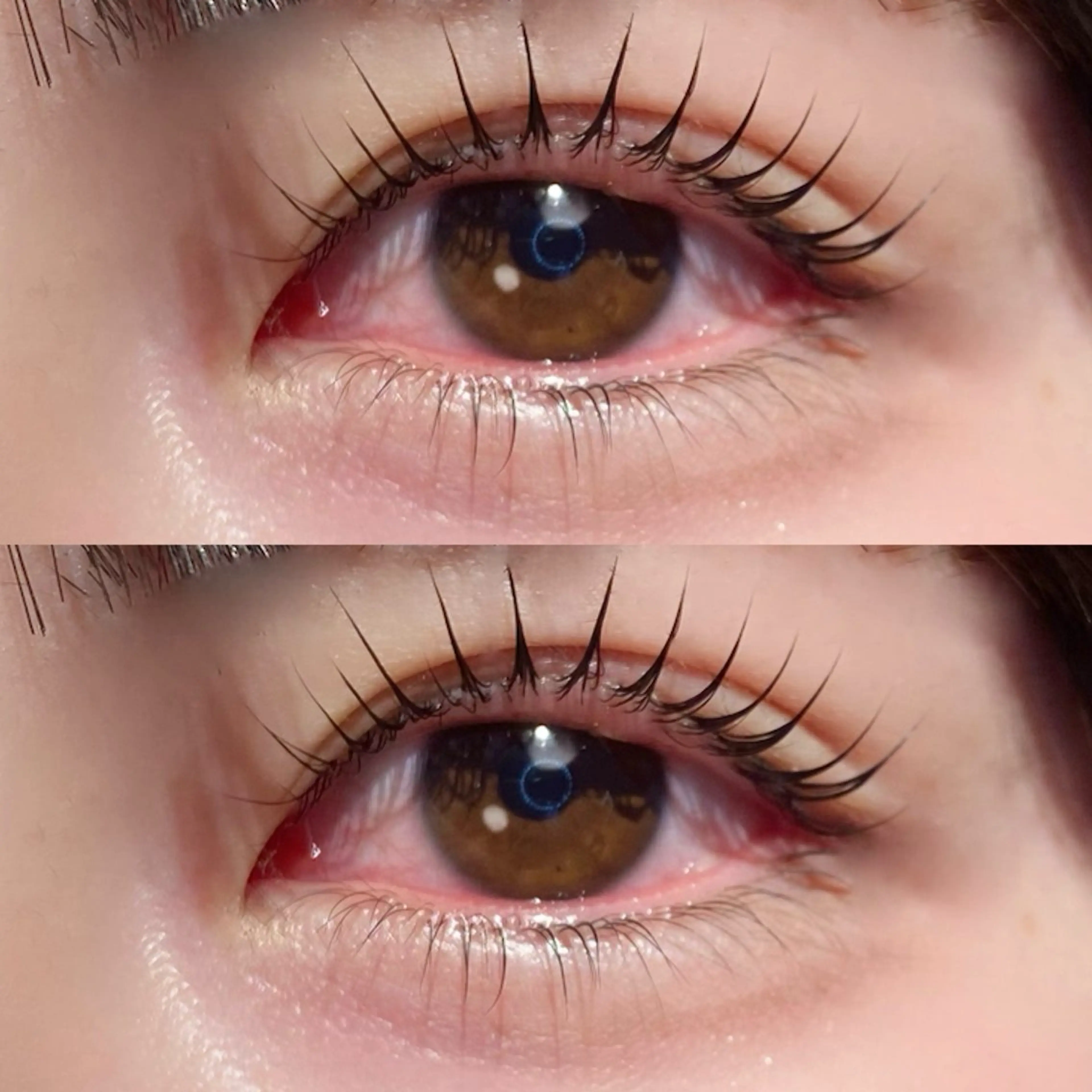 マツエク・マツパ 一重×まつ毛パーマ lit yurina🐈‍⬛のマツエク・マツパデザイン