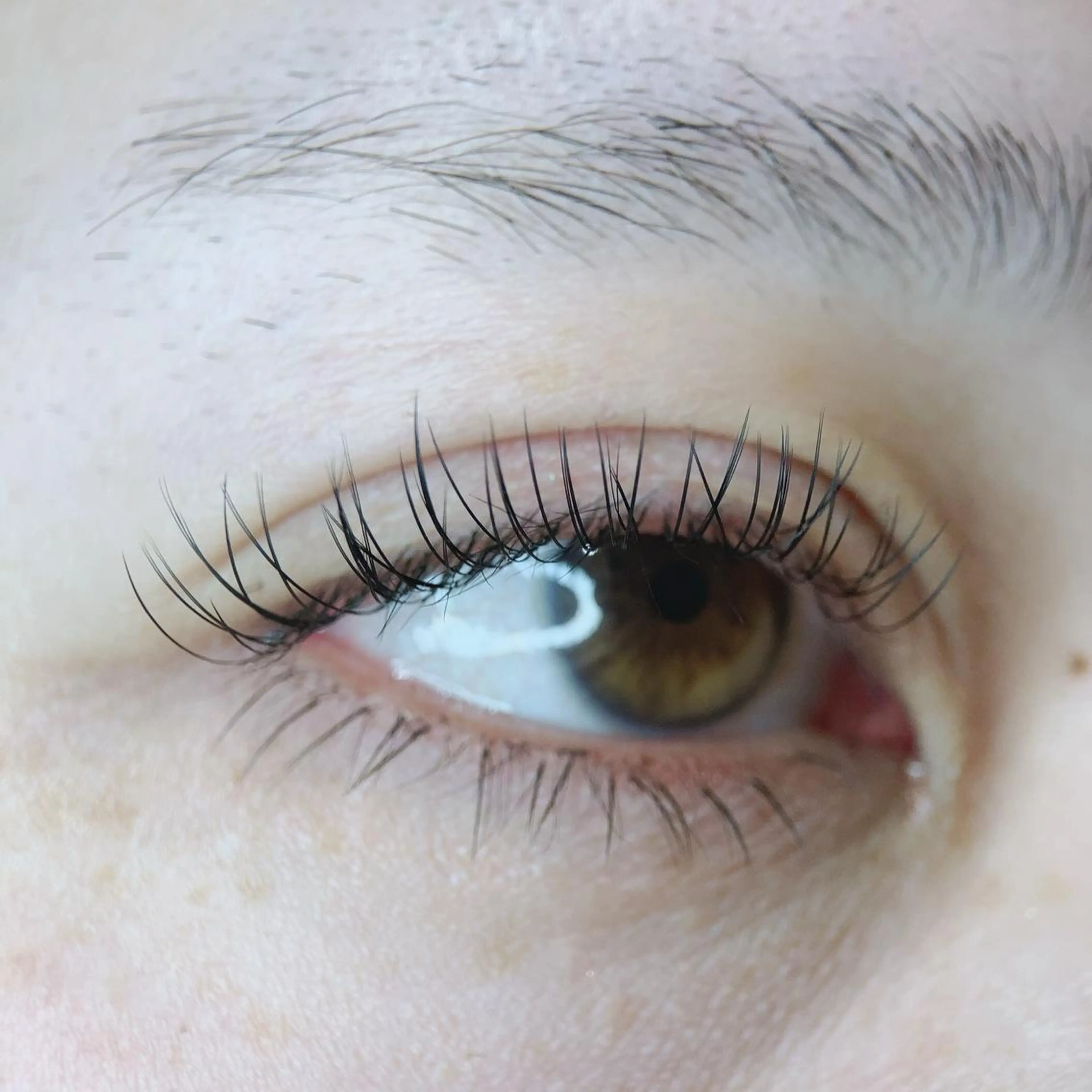 【初回のみ】他店オフ込、フラットラッシュ上180本　5800円の写真