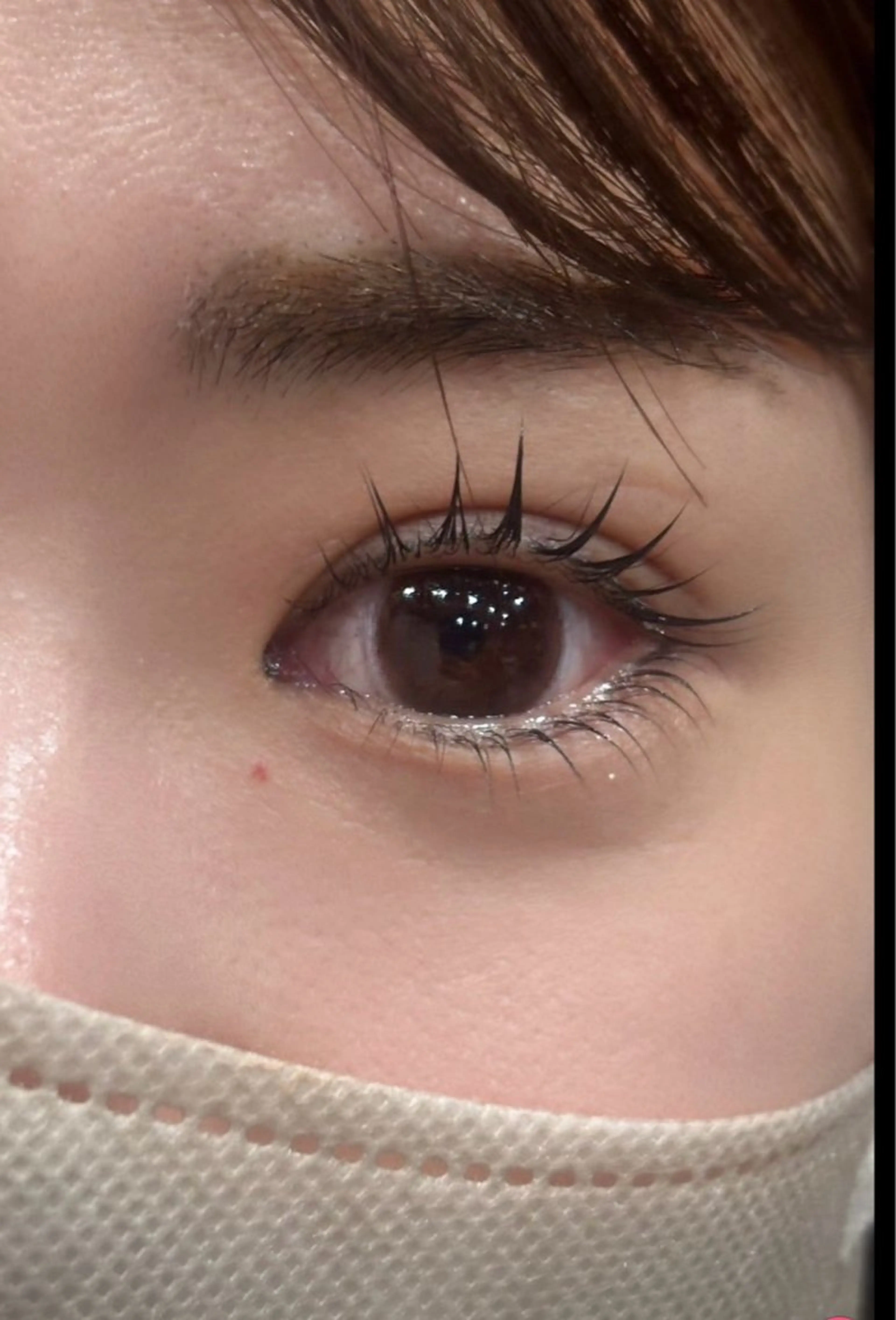 上下まつ毛パーマ🌼の写真