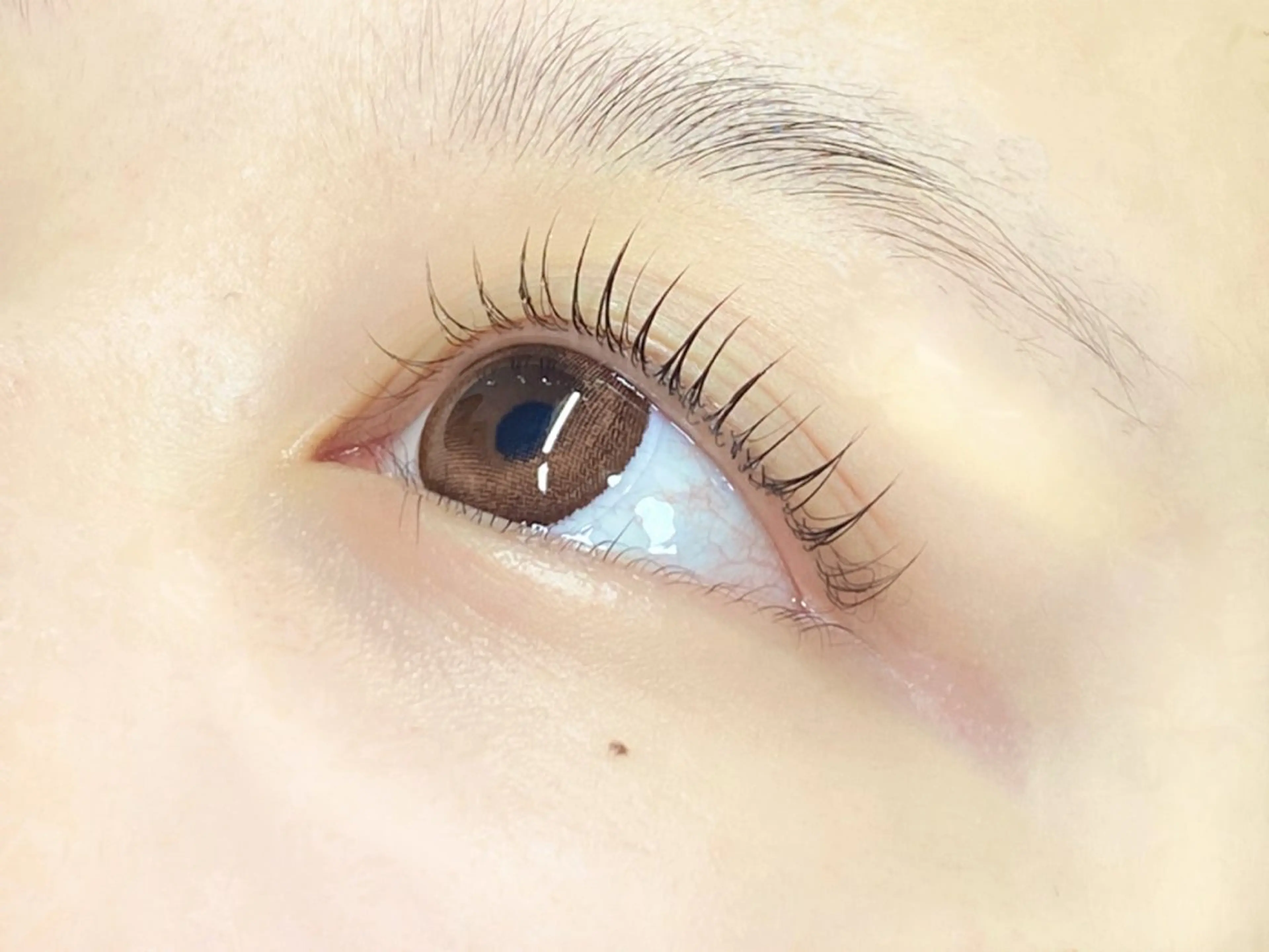 マツエク・マツパ 韓国風マツエク 一重×まつ毛パーマ hair&eyelash Foria所属・阿部 生美の眉毛・アイブロウイメージ