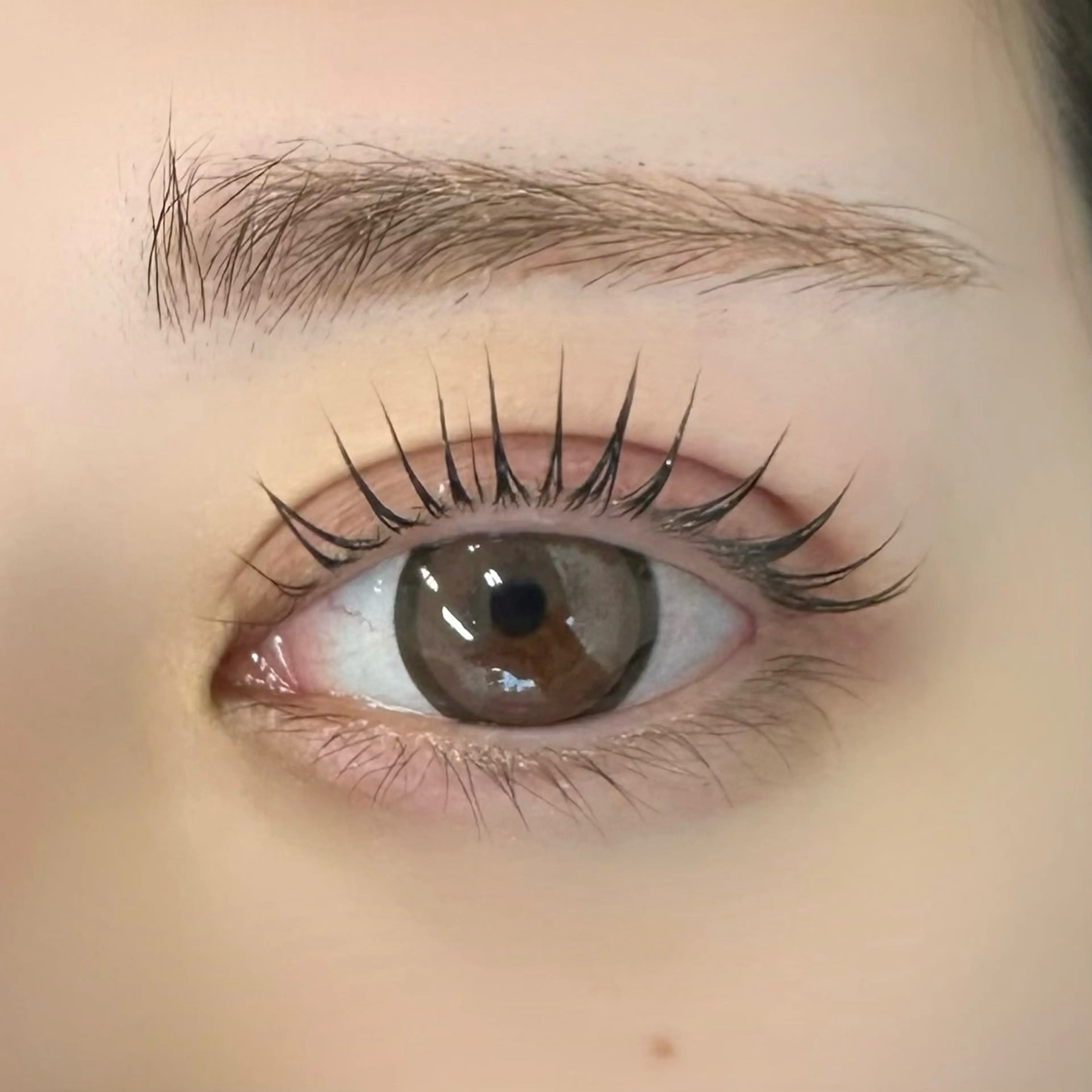 10/1 16:30限定〖無料〗まつ毛パーマモデルの写真