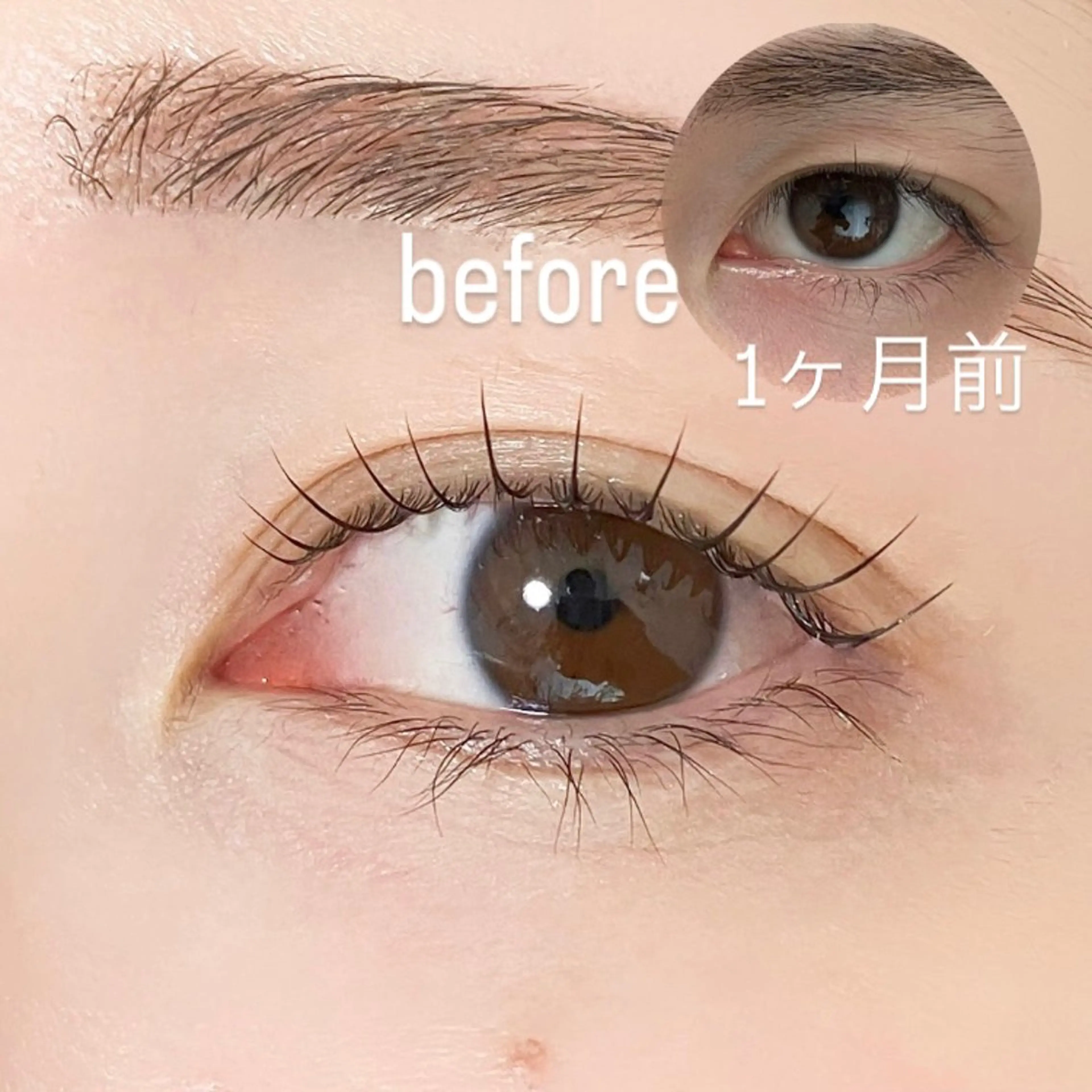 マツエク・マツパ 束感まつ毛 韓国風マツエク パリジェンヌラッシュリフト まつげパーマ 一重×まつ毛パーマ 渋谷／束感まつげ パーマ／YUKIのマツエク・マツパデザイン