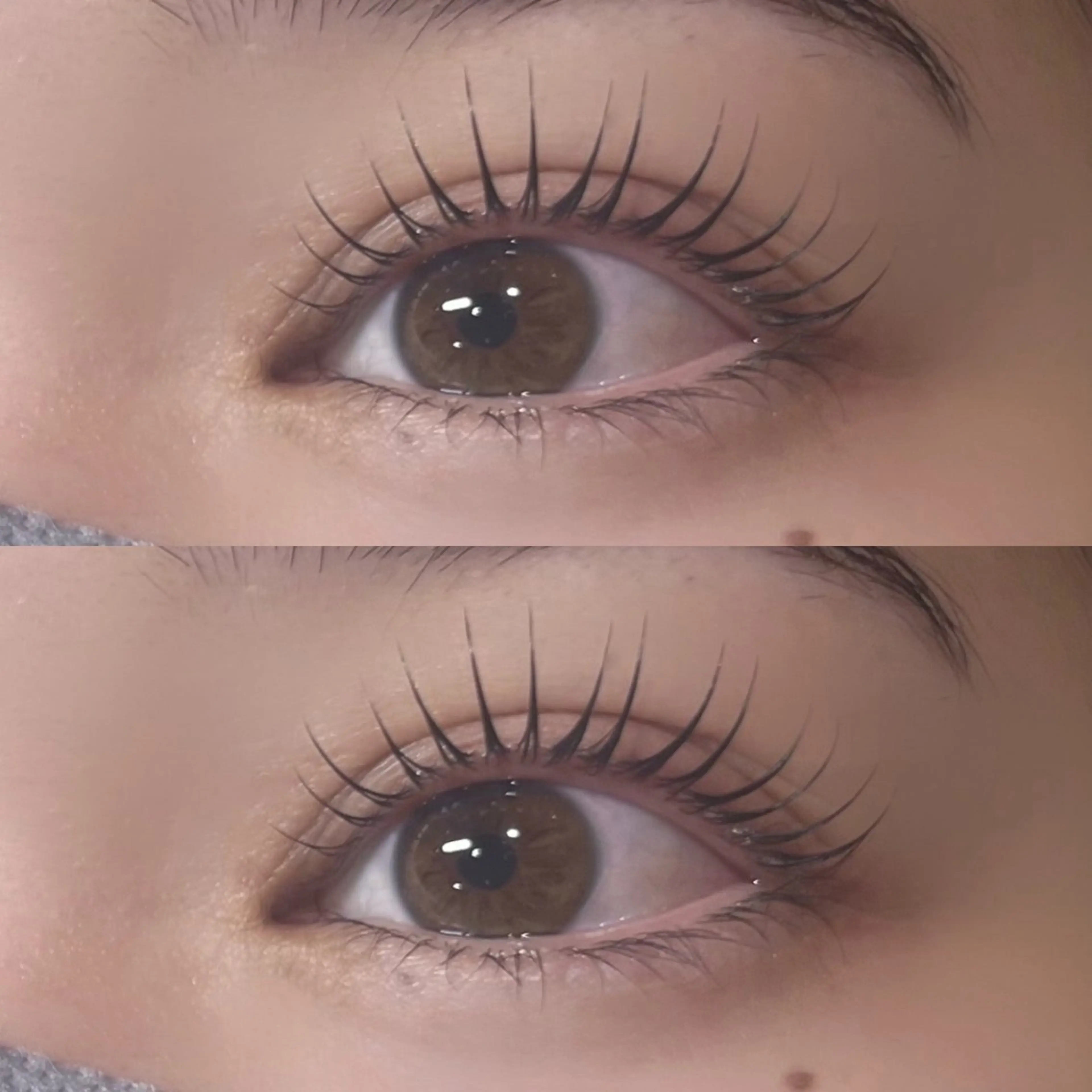 選べるまつげパーマ⭐️コーティング付の写真