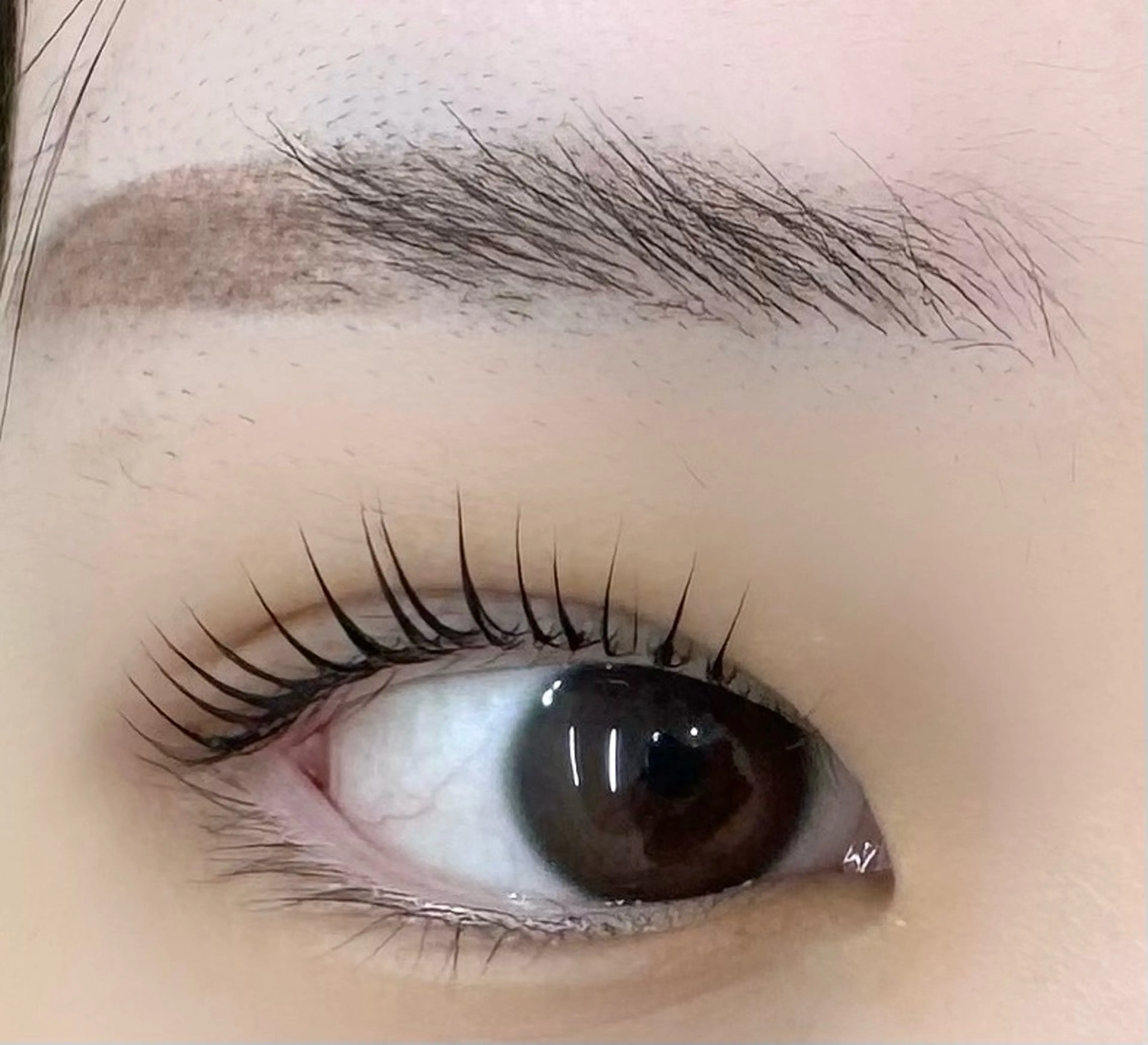 マツエク・マツパ ケラチンラッシュリフト 26日空き有り♡ ERIKA♡のマツエク・マツパデザイン