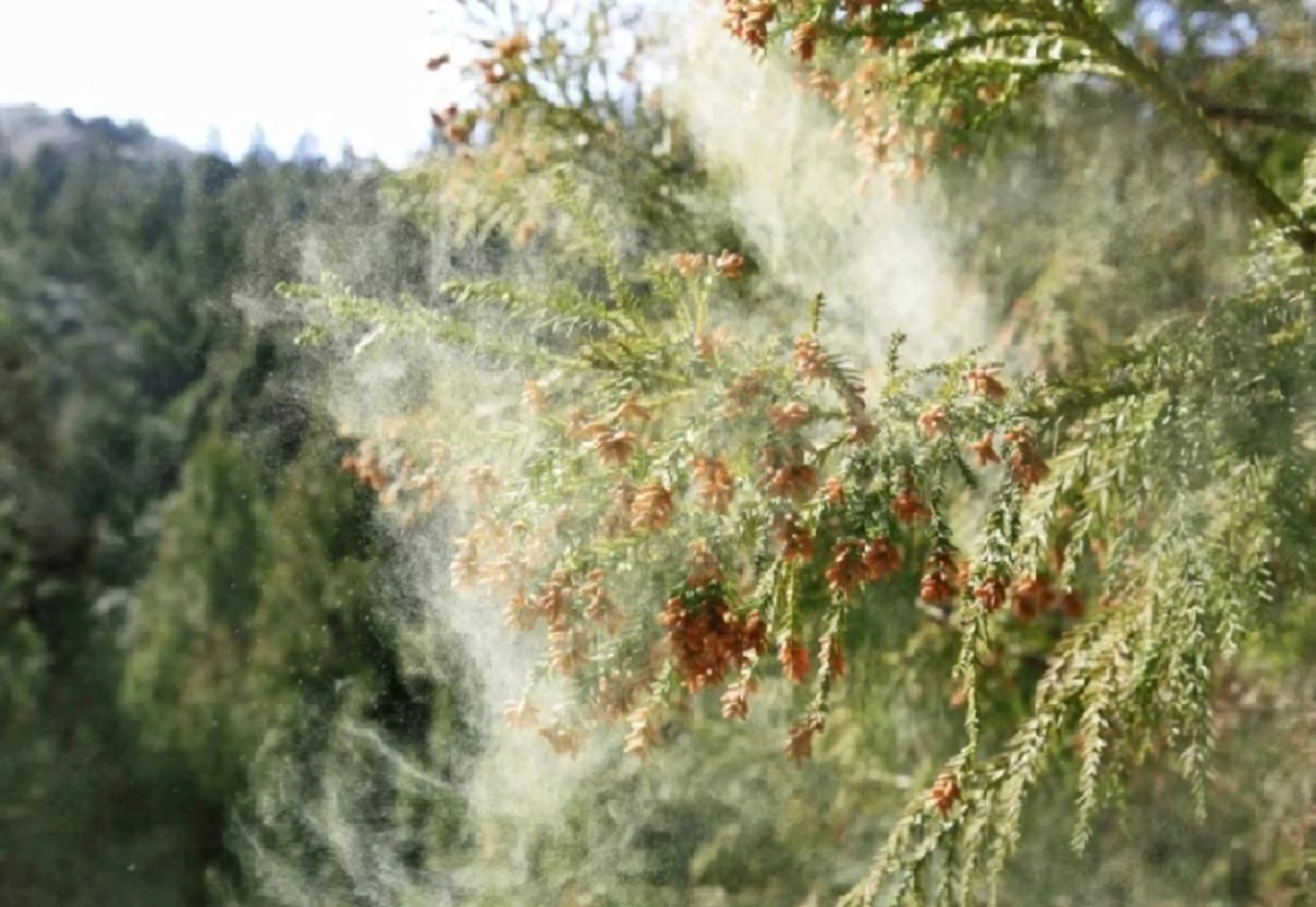 エステ aliaハイフ&水光ジェットサロン所属・aliaハーブ水光店 エステティシャン募集のエステ・リラクイメージ