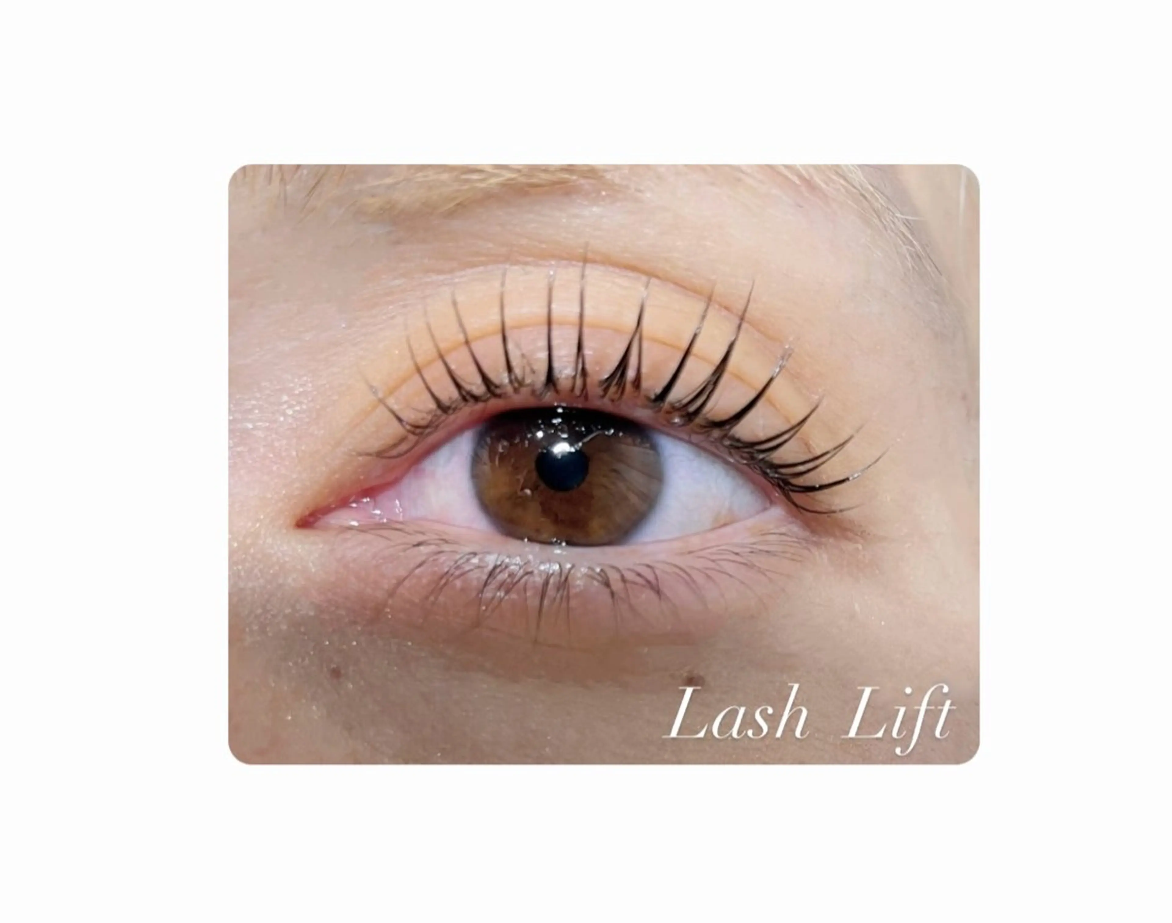 マツエク・マツパ Beauty　salon　Mil所属・🤍下村 絢香🤍のマツエク・マツパデザイン