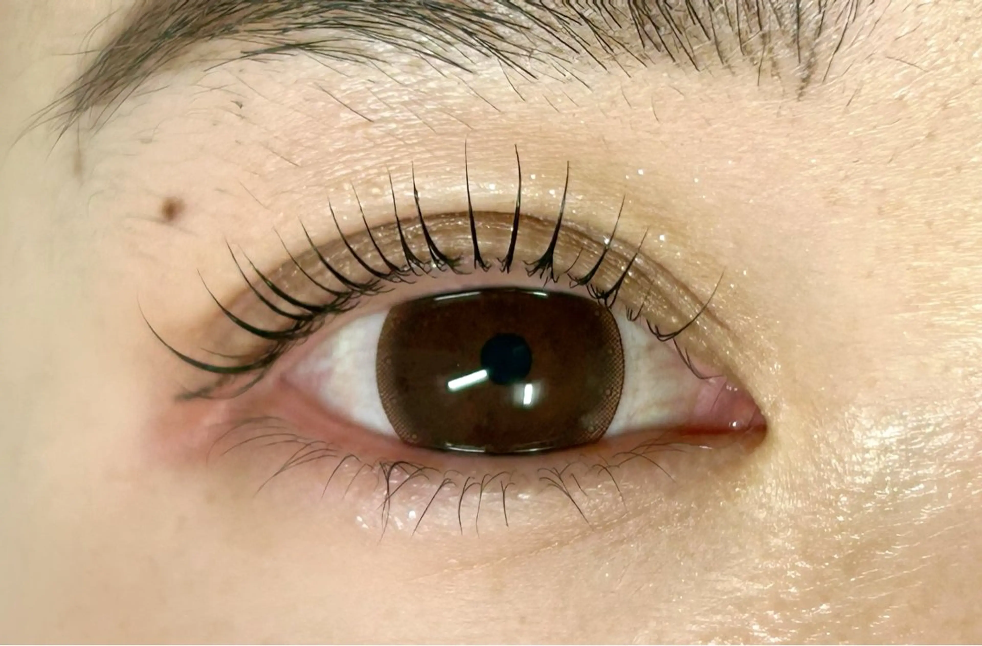 マツエク・マツパ ricony by Ri's所属・練習モデル募集中/ ヤマダエリのマツエク・マツパデザイン