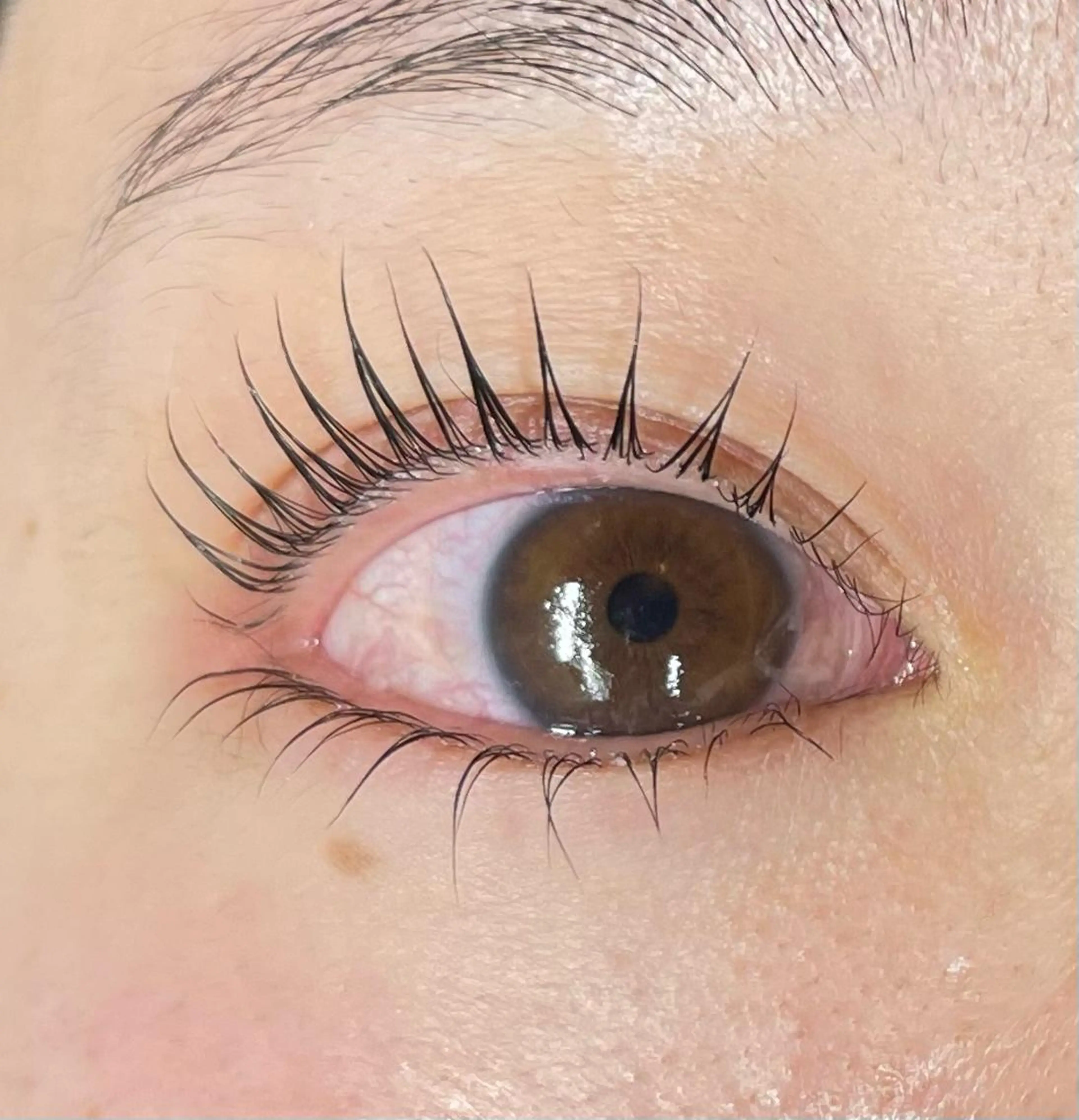 【MOMOKA指名】<SET>パリジェンヌラッシュリフト（上下パーマ）の写真