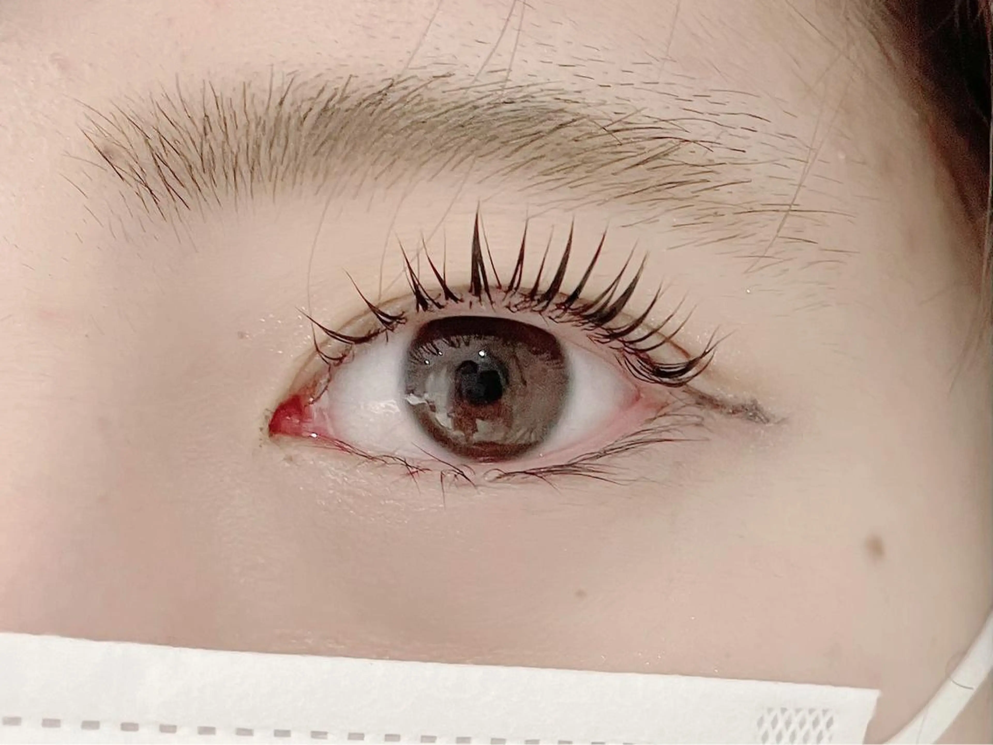 マツエク・マツパ パリジェンヌラッシュリフト Luana ✩‧₊˚ 土屋/店長のマツエク・マツパデザイン