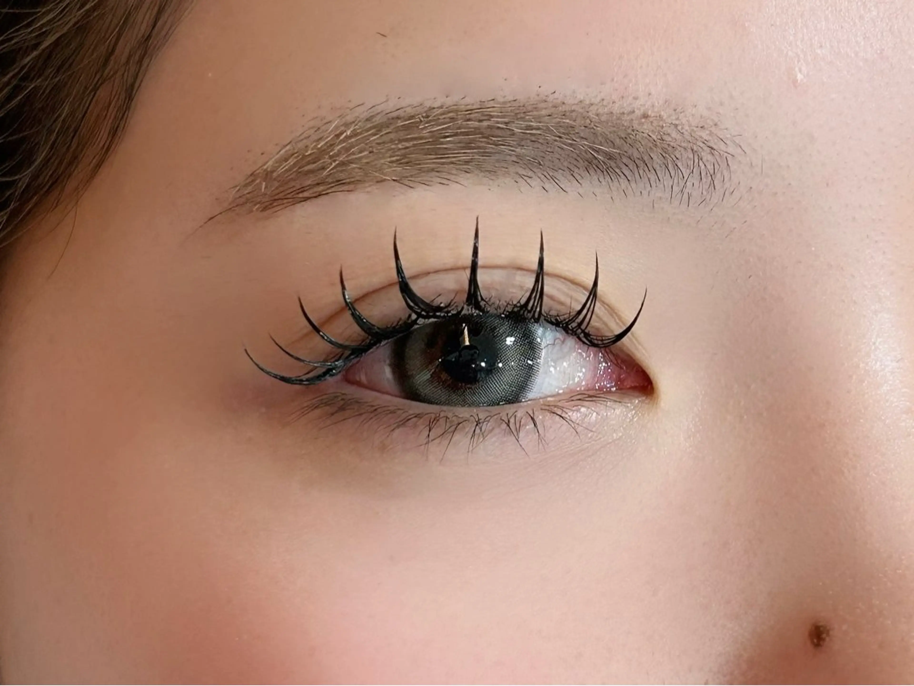 パリエク★１２０本の写真