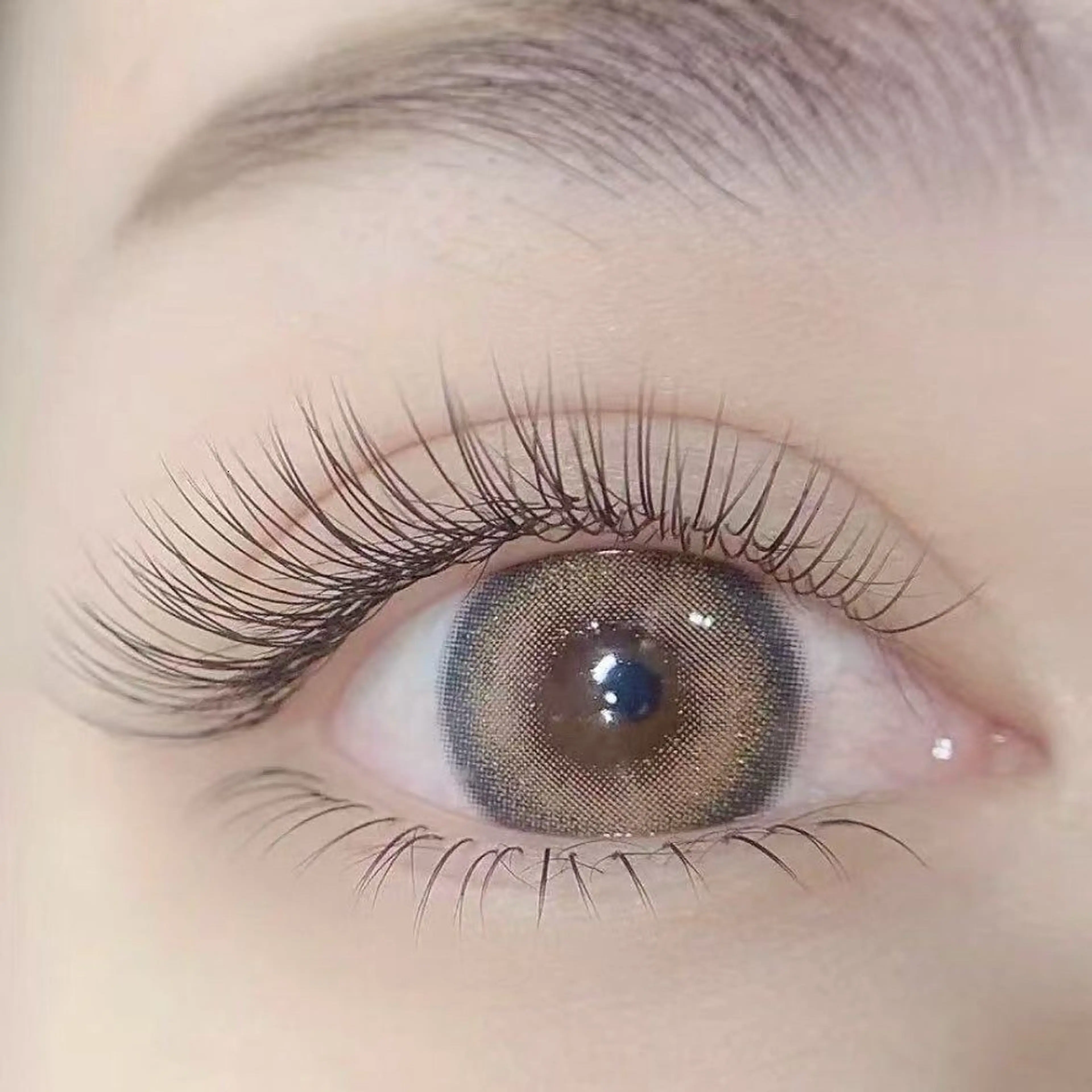 セーブル上120本(オフ+¥440)の写真