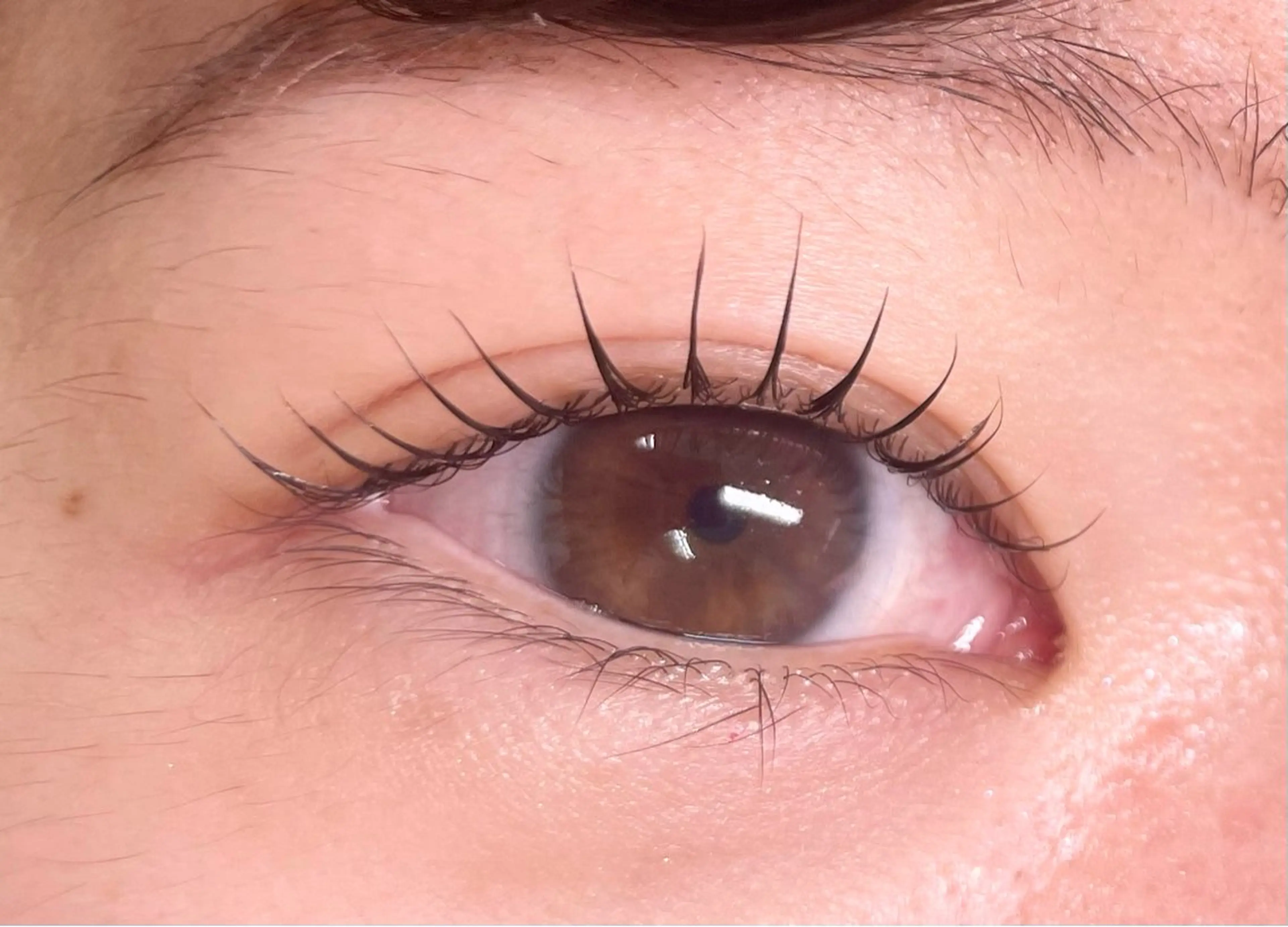 マツエク・マツパ glitter 京橋駅徒歩 1分のその他イメージ