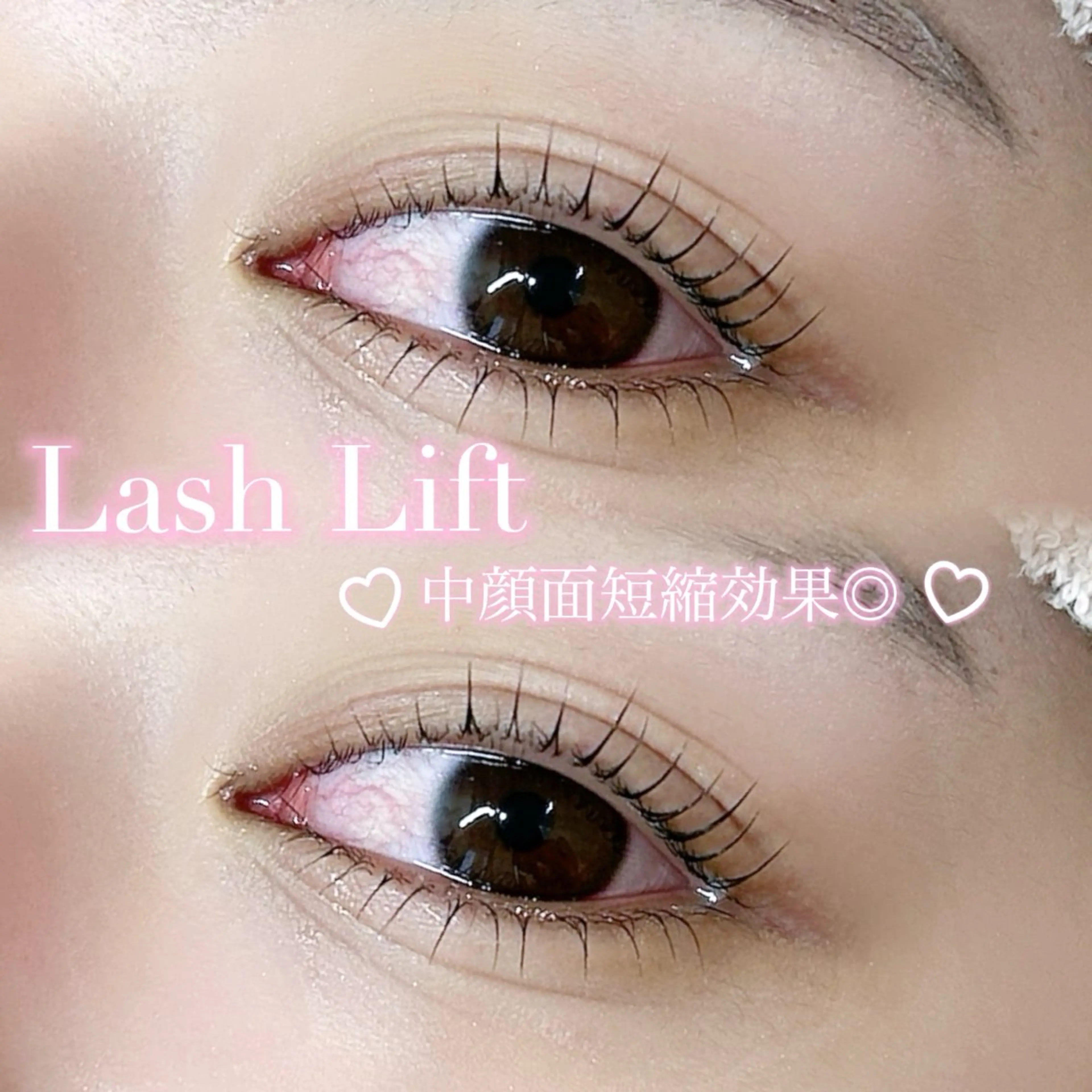 【🎄♥️12月限定♥️🎄】選べるラッシュリフト上下セット🎀（まつ毛パーマ）【束感/韓国風/メーテル/小顔効果】の写真