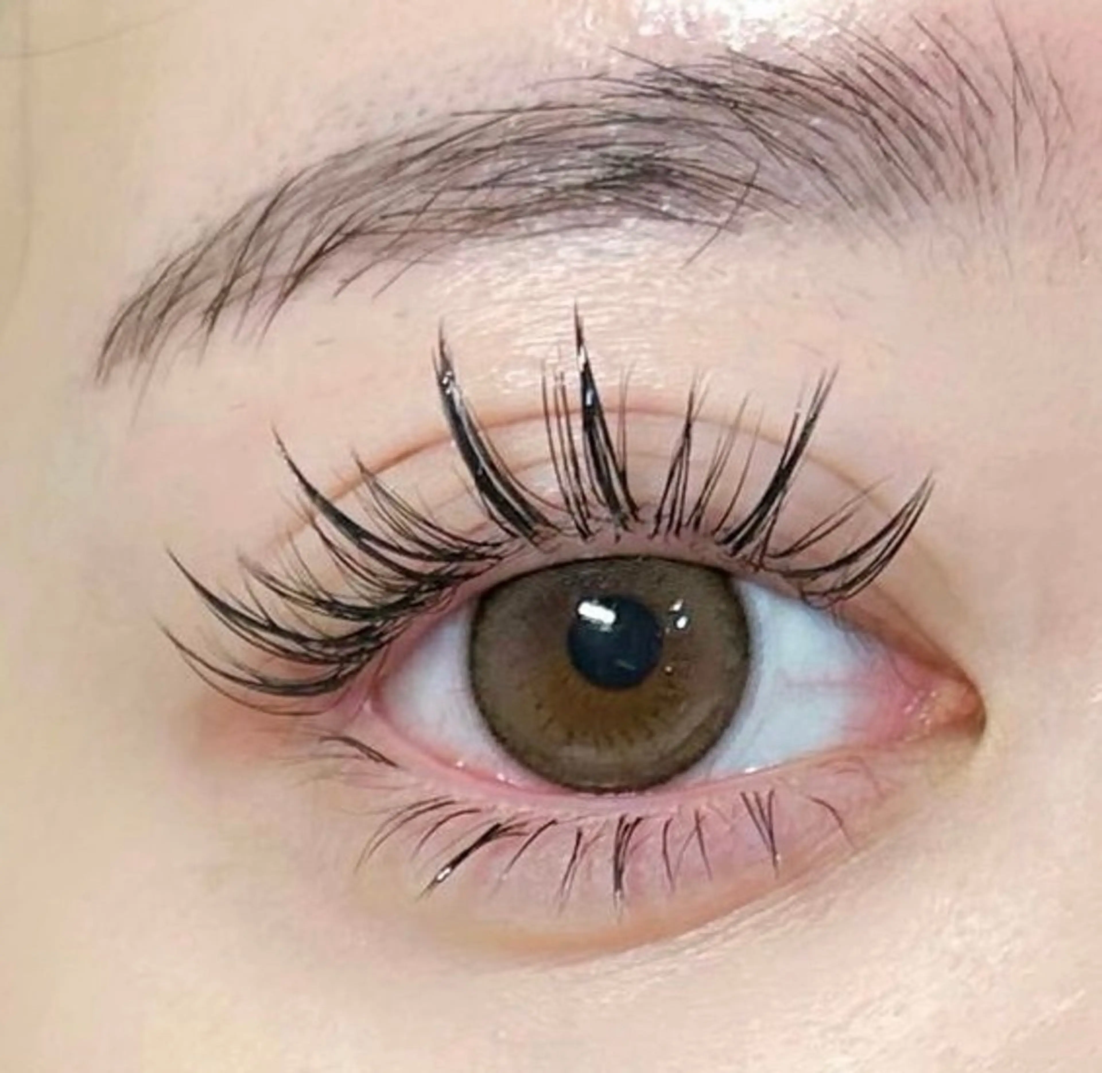 ワンホン風束感マツエク100本(オフ込み)の写真