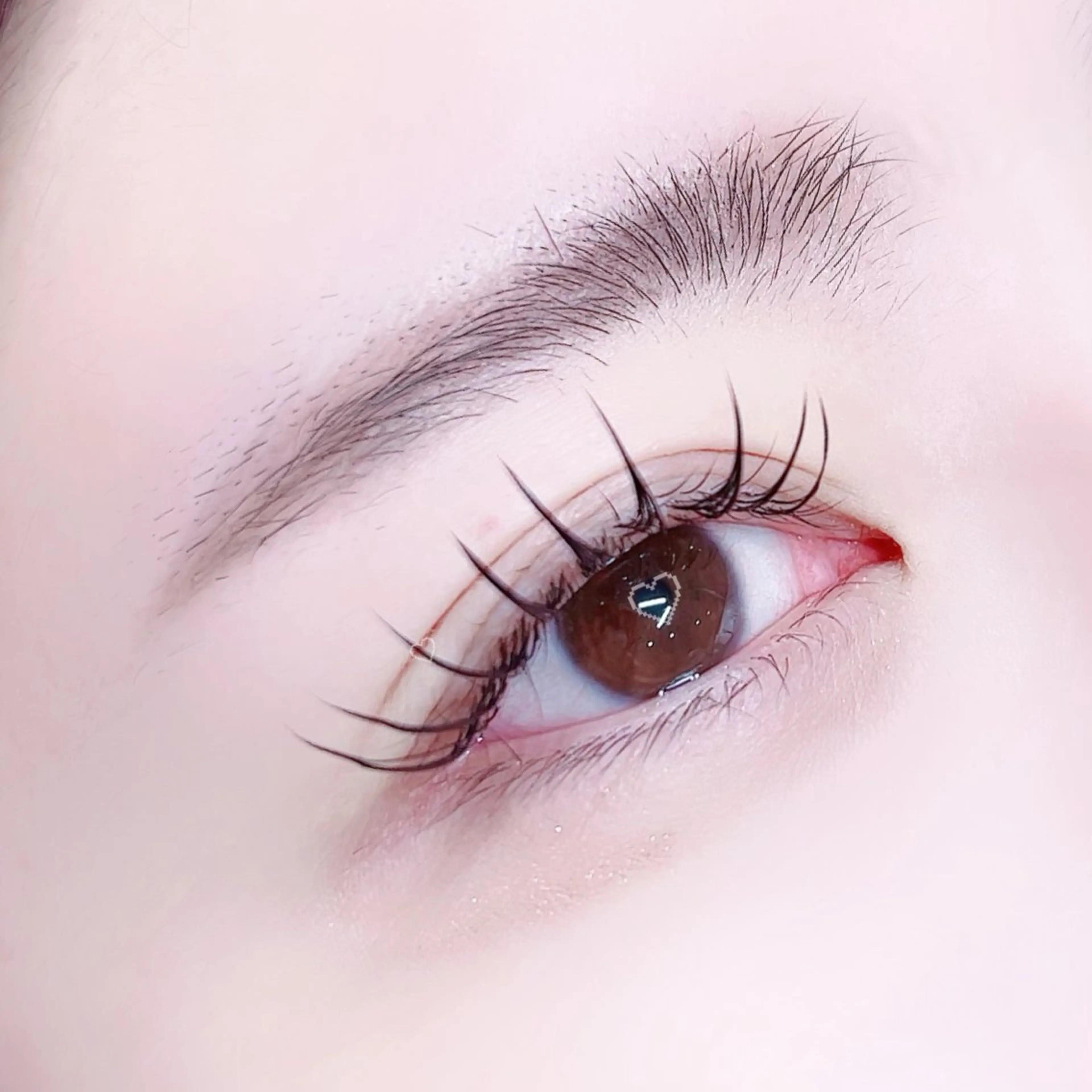 🩵フラットラッシュ🩵100本（オフなし）の写真