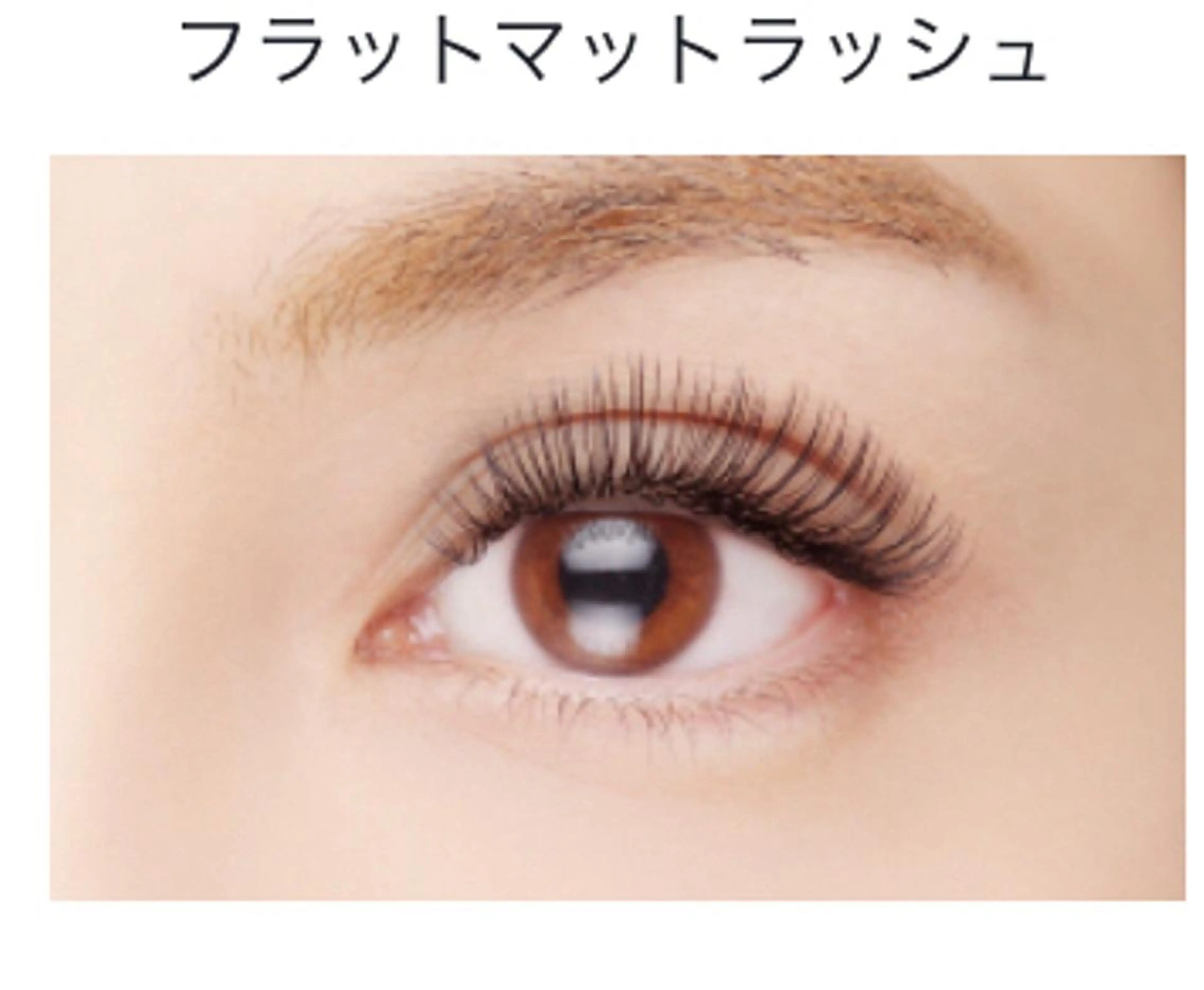 マツエク・マツパ MIU  nail＆eye所属・MIU nail＆eyeのマツエク・マツパデザイン