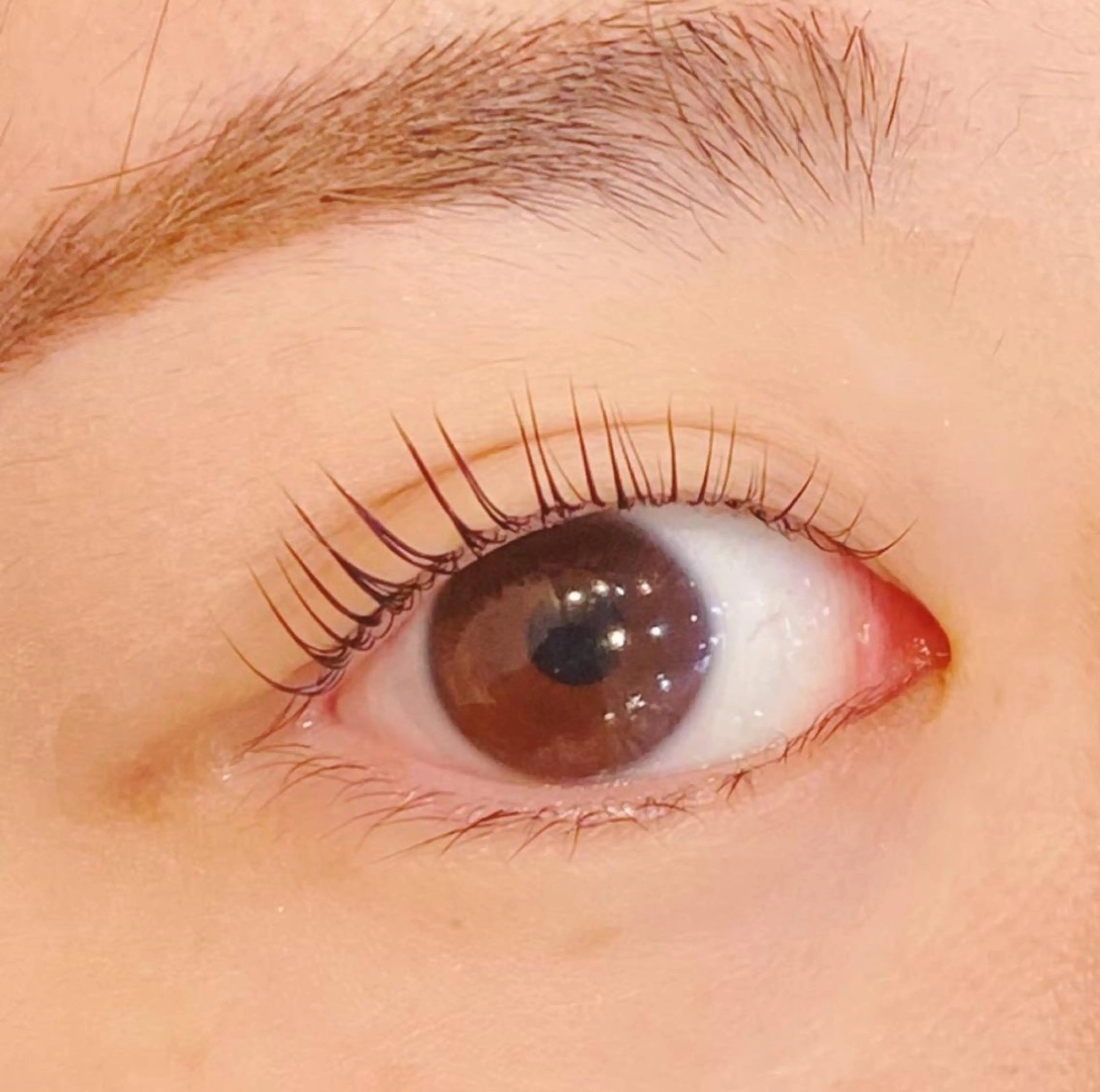 マツエク・マツパ マツパ Anela 🦋HARUMIの眉毛・アイブロウイメージ