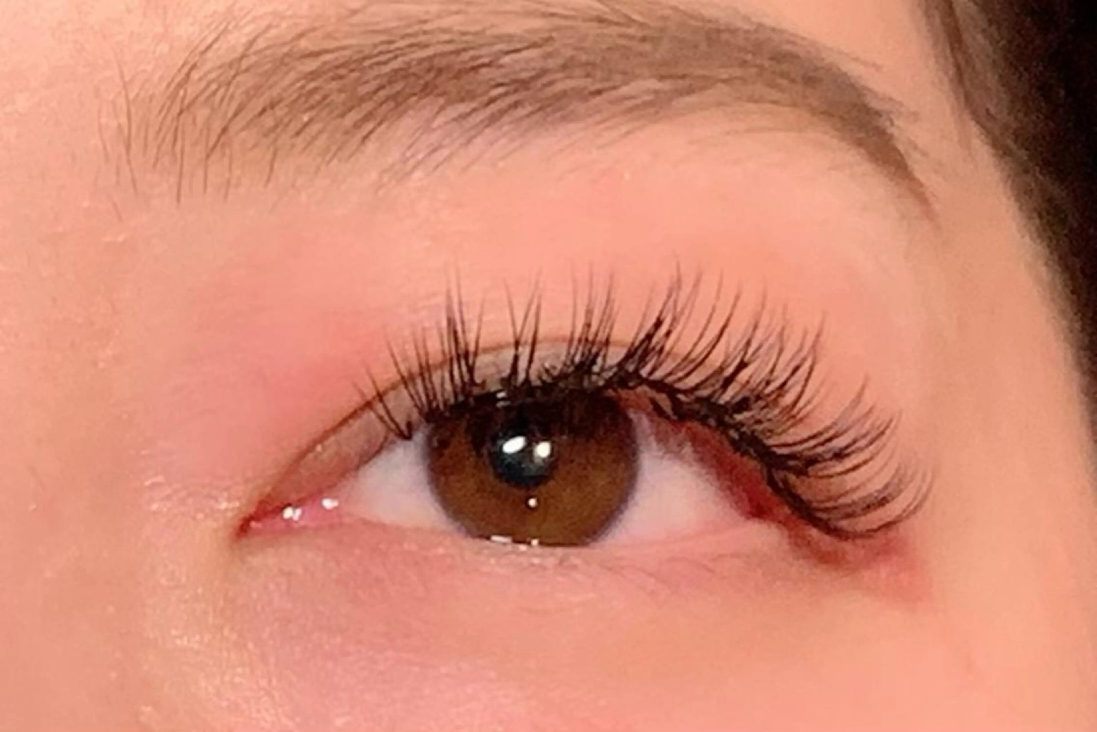 🌟すぐ予約限定🌟バインドロック80束🌟オフ¥500の写真