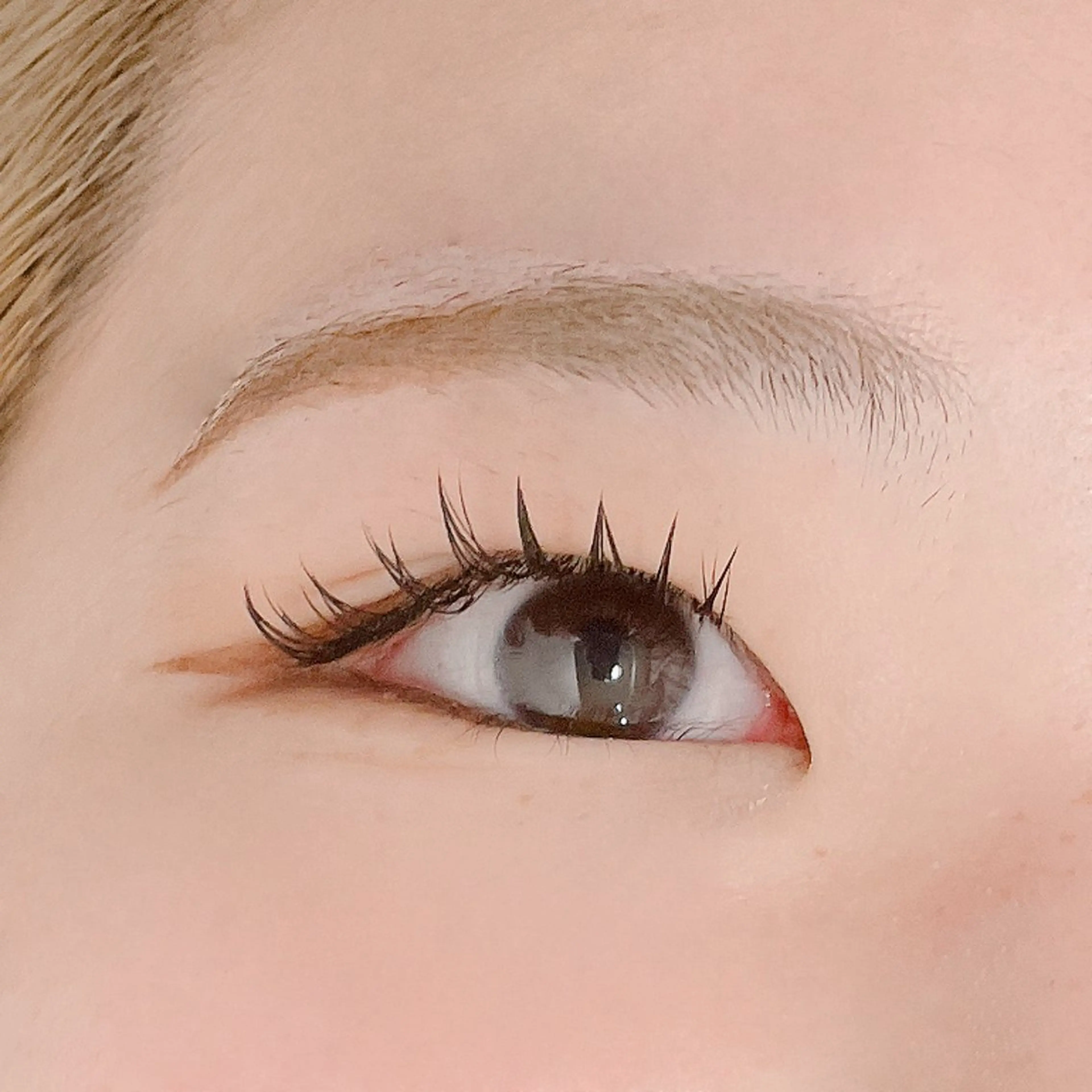 マツエク・マツパ Ayumi.dre 🌸Y《2階》のマツエク・マツパデザイン