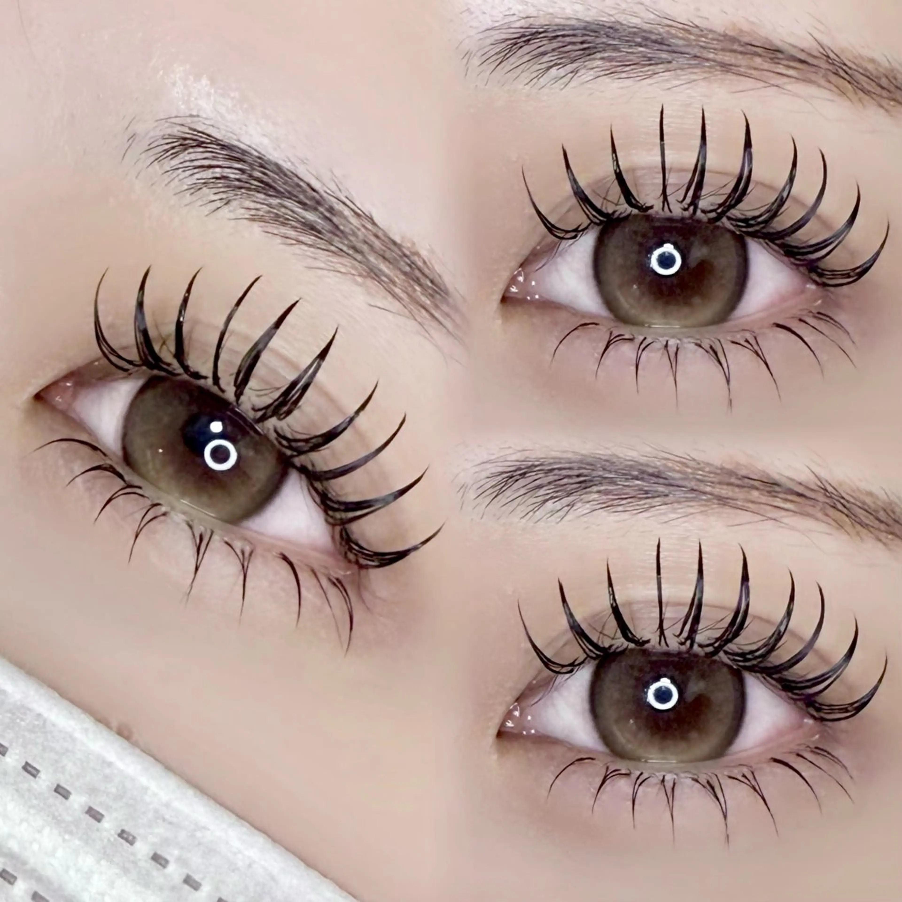 【オフ無料】ダブルフラットラッシュ 120束（アイシャンプー付き🫧）の写真