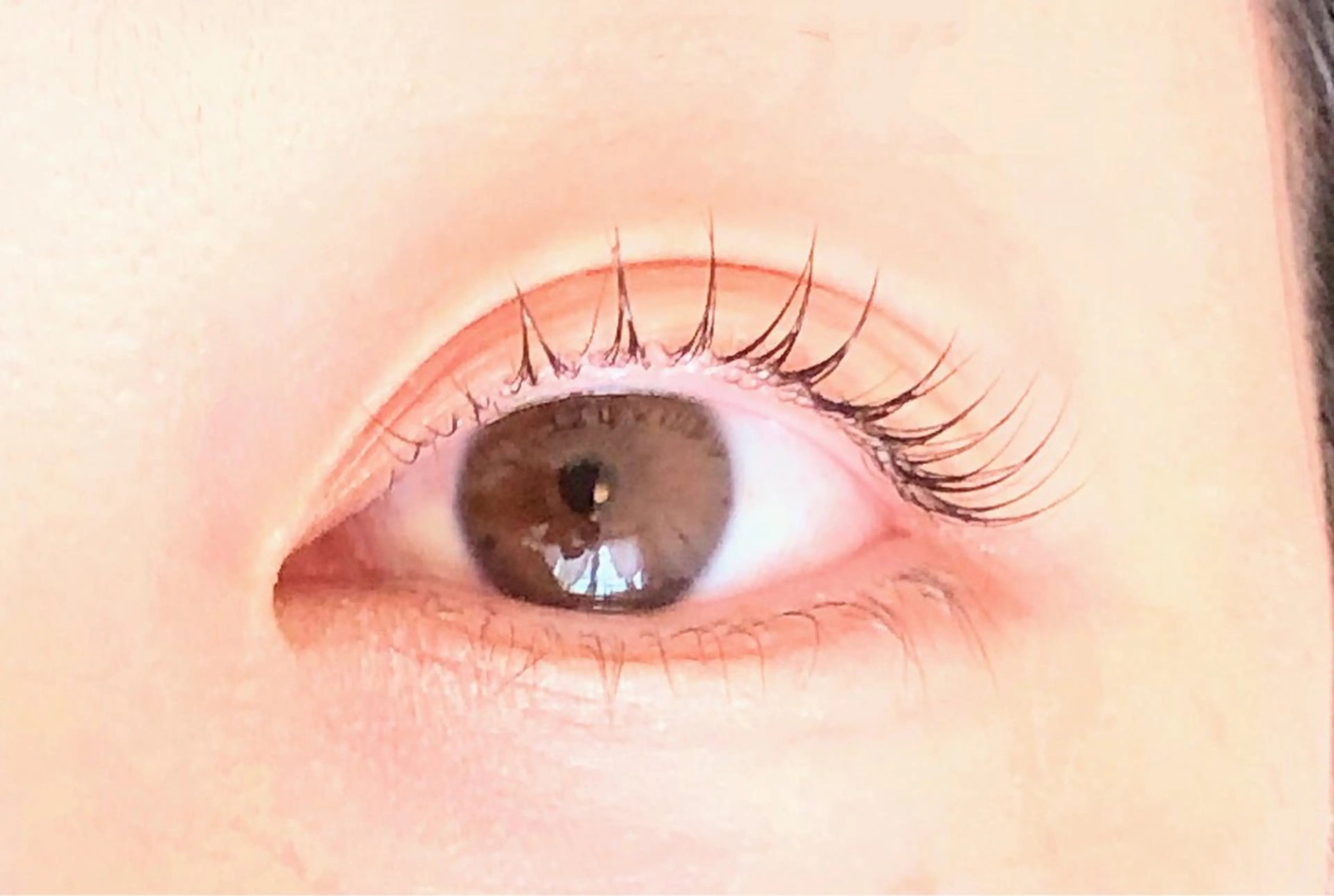 次世代☆艶まつげパーマ　keratinトリートメント付きの写真