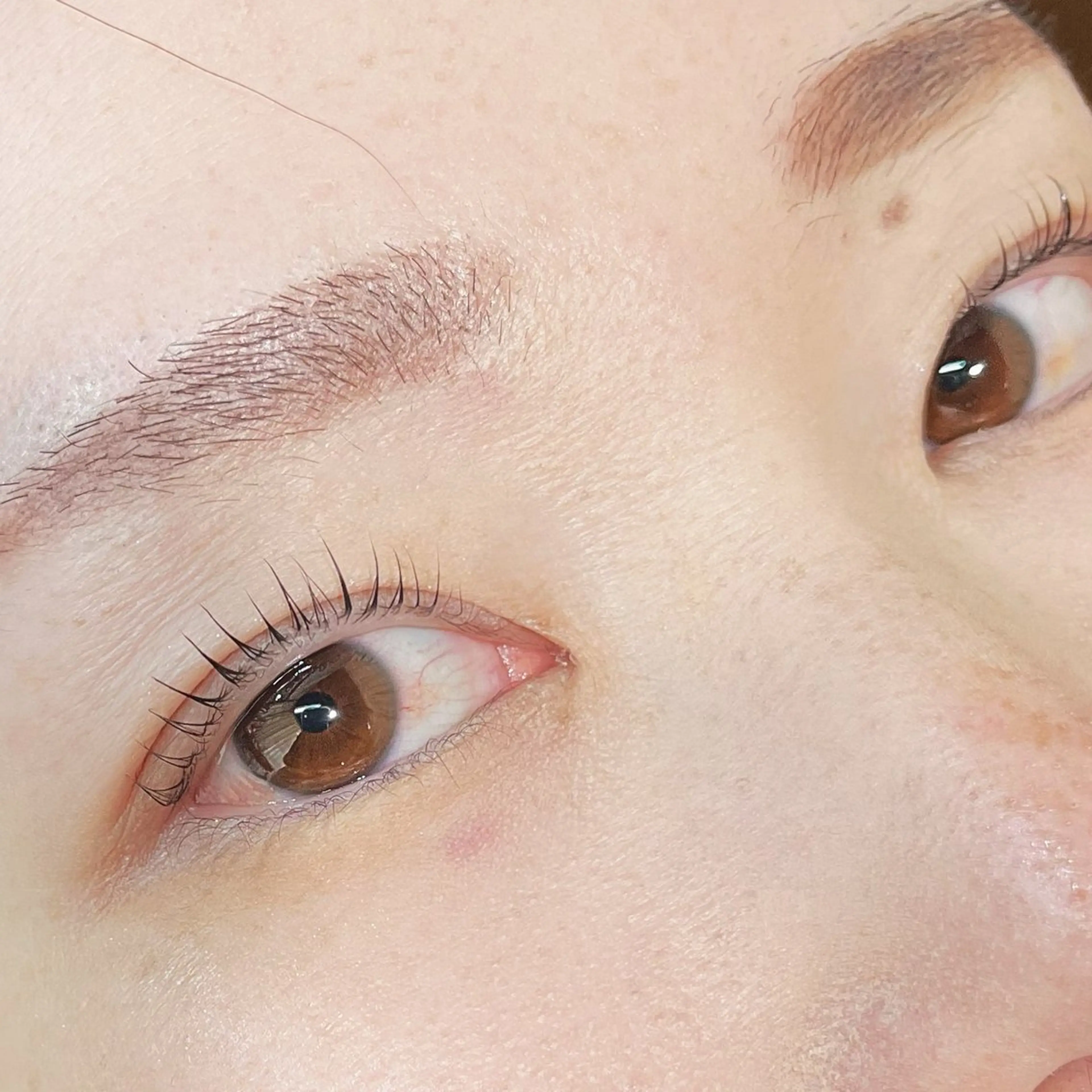 【2回目45日以内の方】まつげカール🫧(アイシャンプー、コーティング付き)の写真