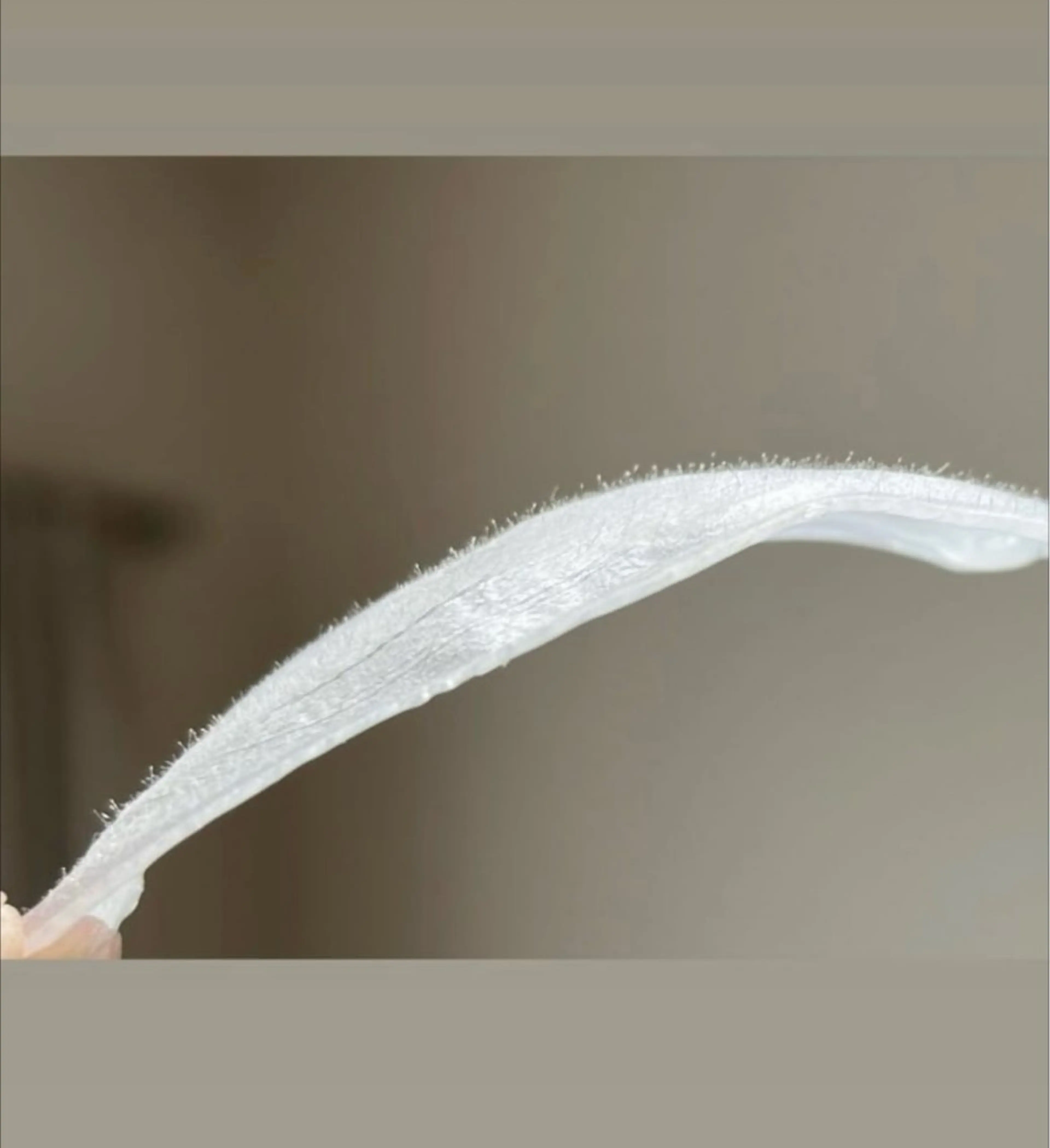 Remove所属・Remove .のエステ・リラクイメージ