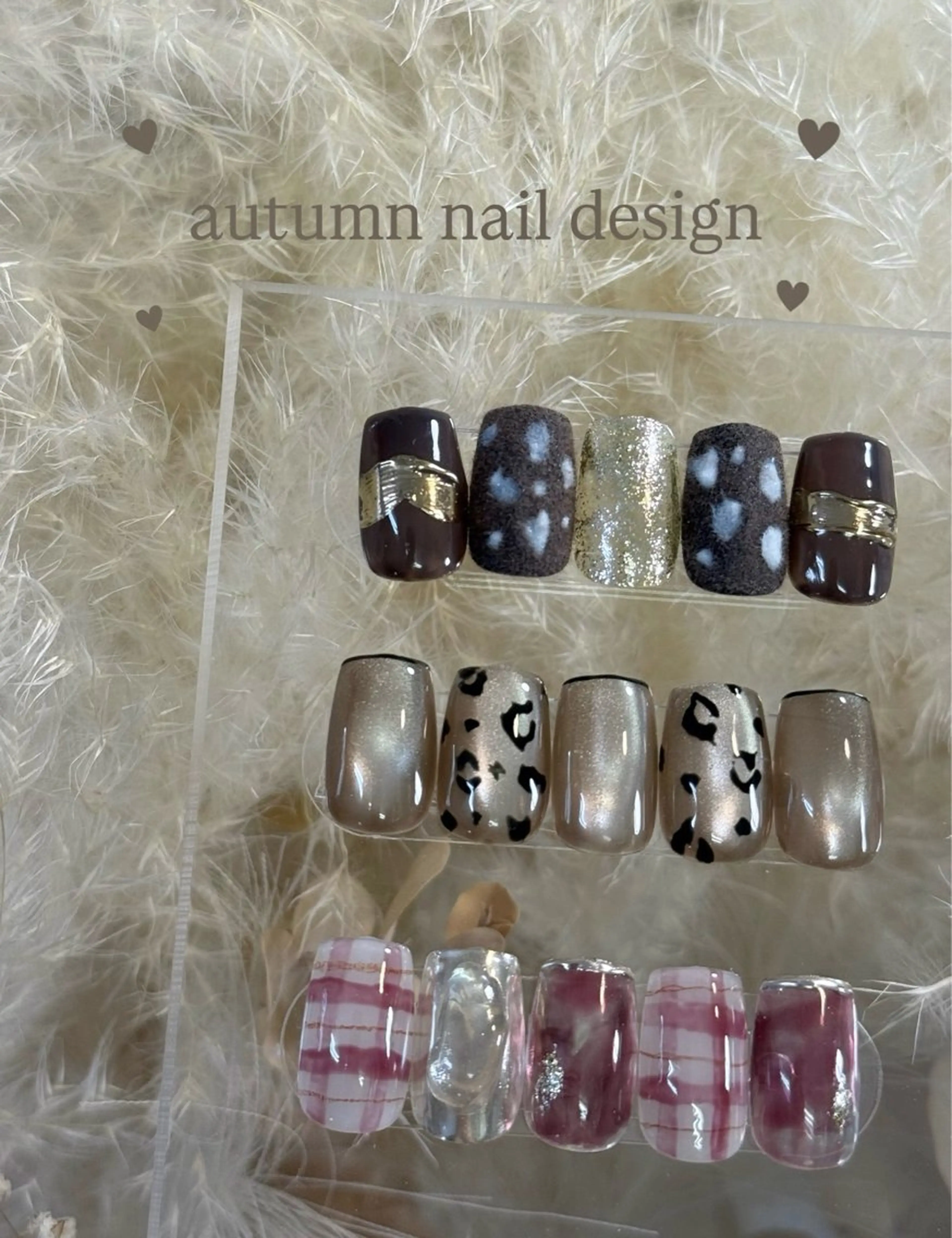 autumn design （オフなし）の写真