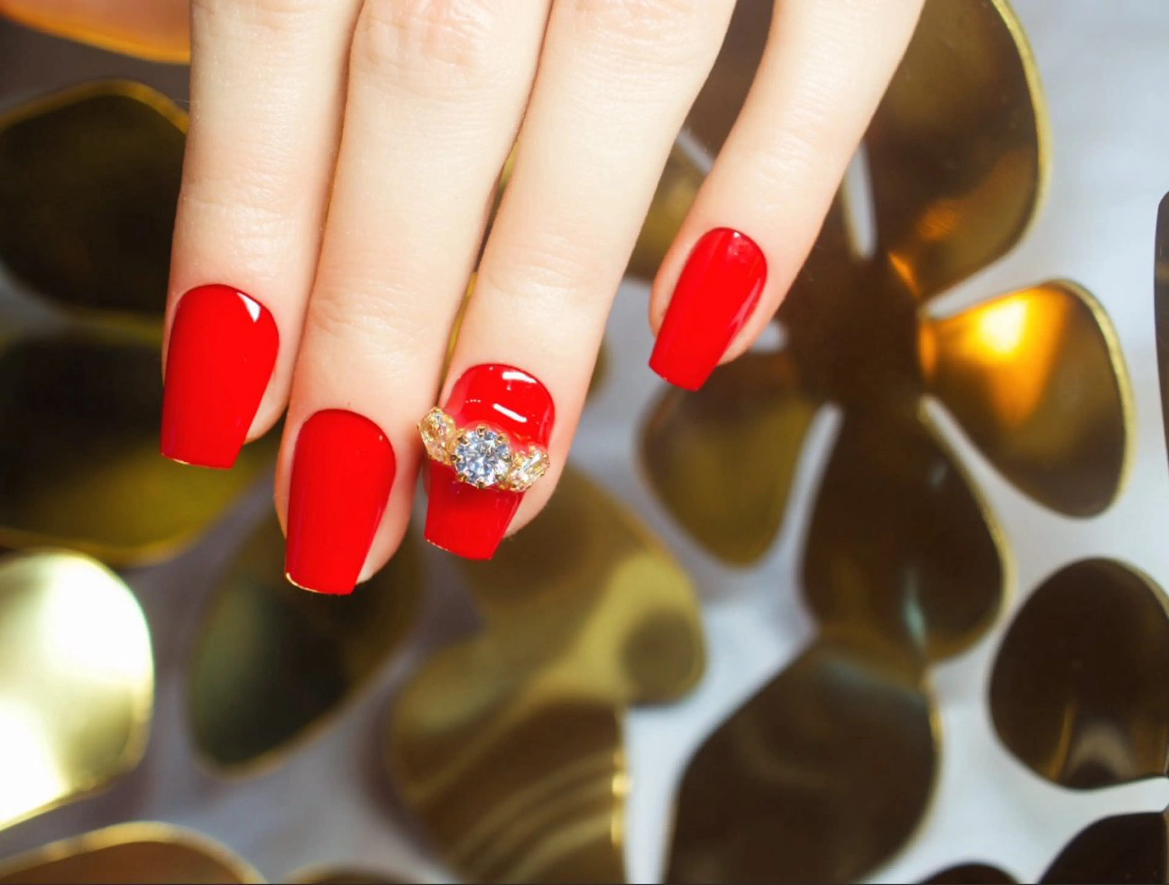 プレミアムコースの写真