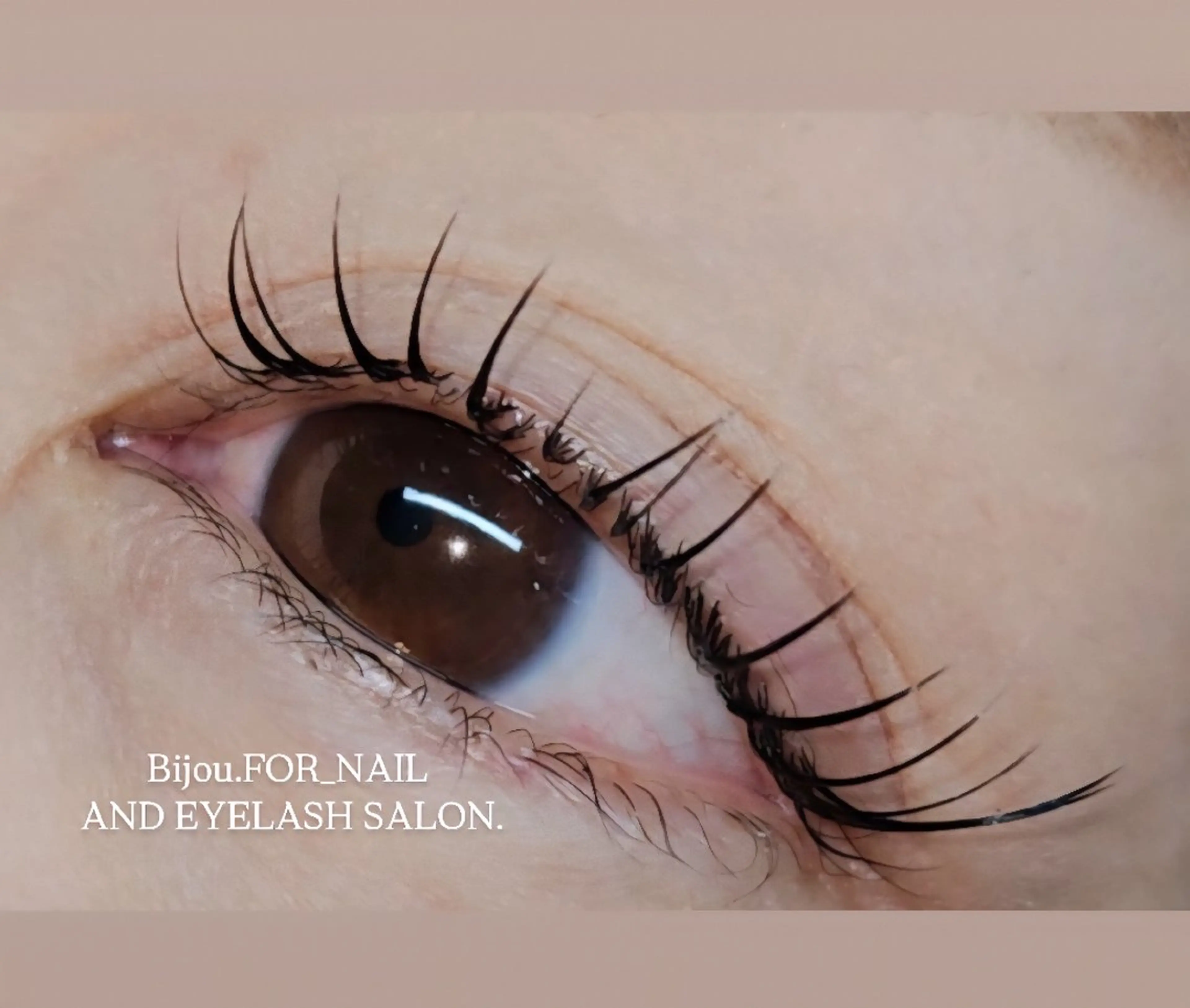 エクパボリューム(カラエクも含む)の写真