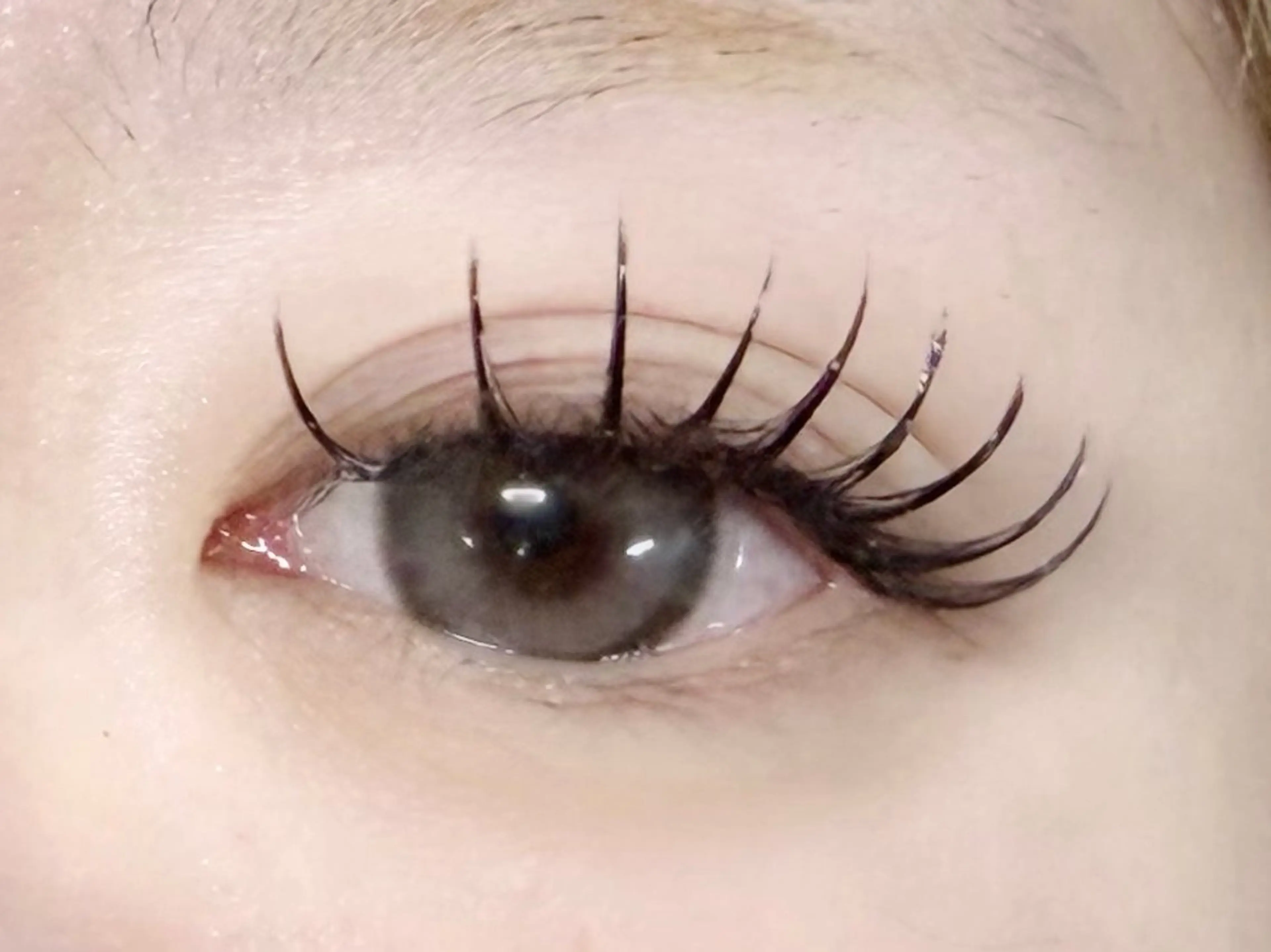 【2/8までの15時以降限定価格】マツエク上140本下40本🎀の写真