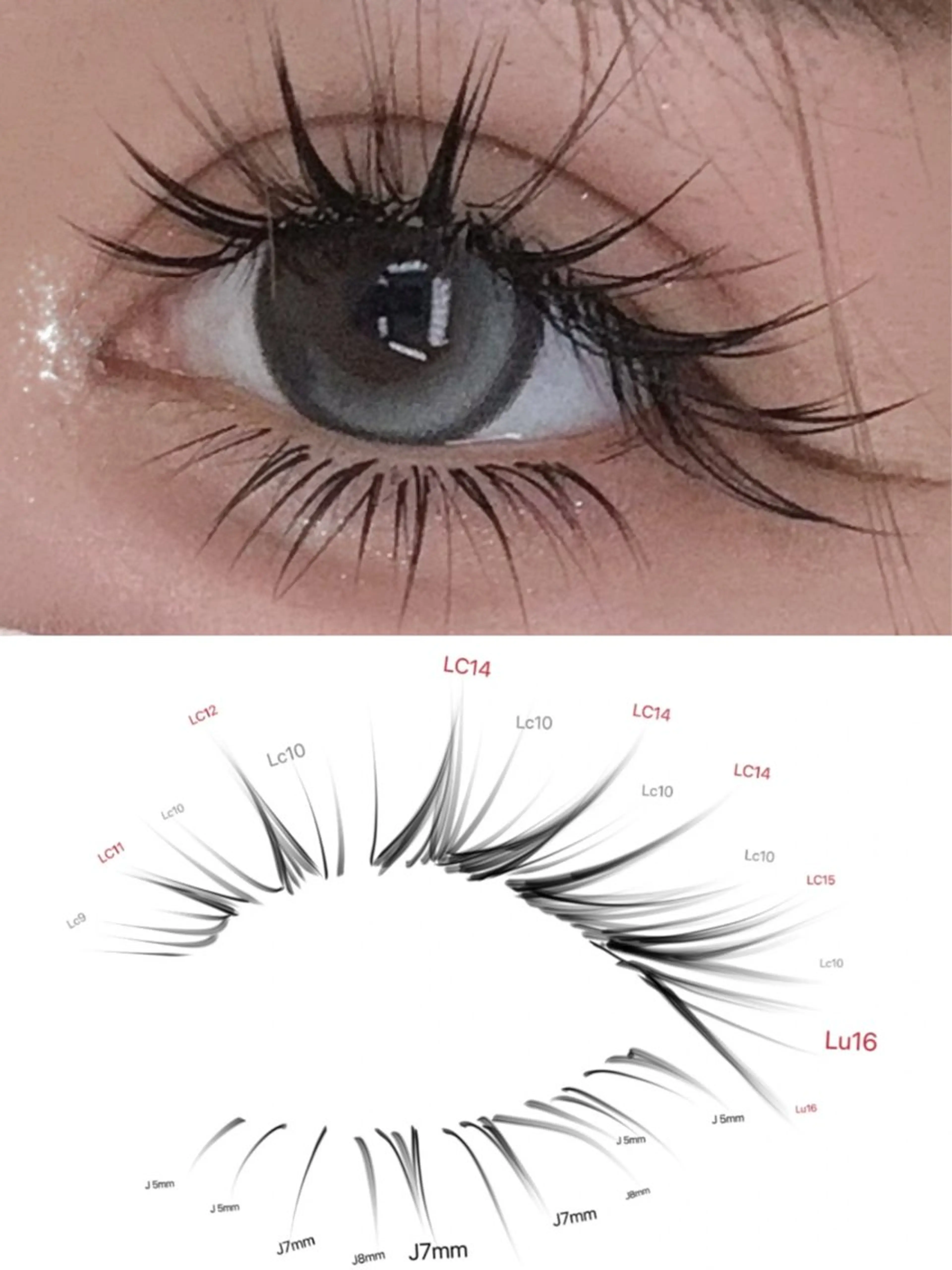 🎀【🐰兎目系Design】2回目以降13980の写真