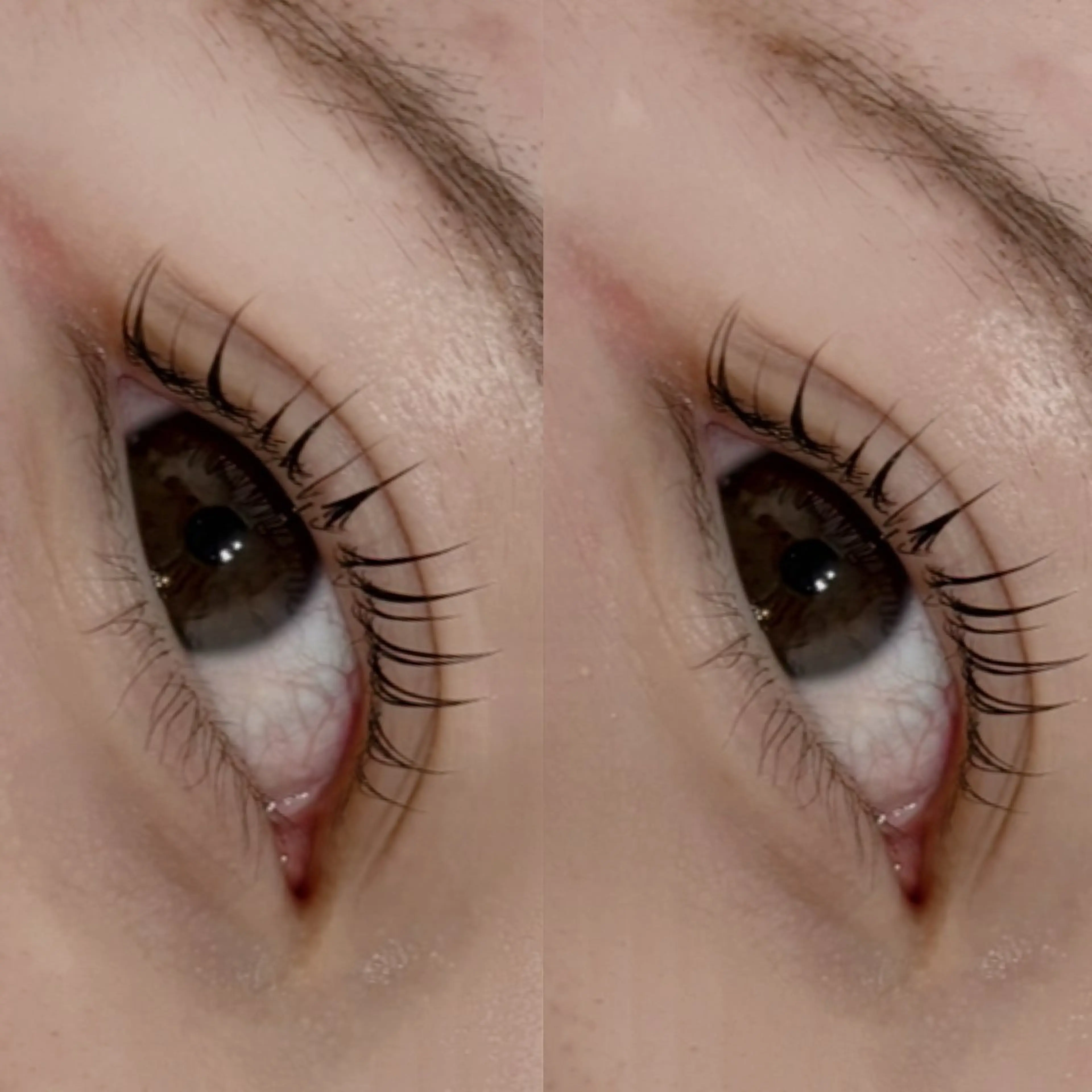 マツエク・マツパ まつげパーマ 梅澤 舞のヘアスタイル