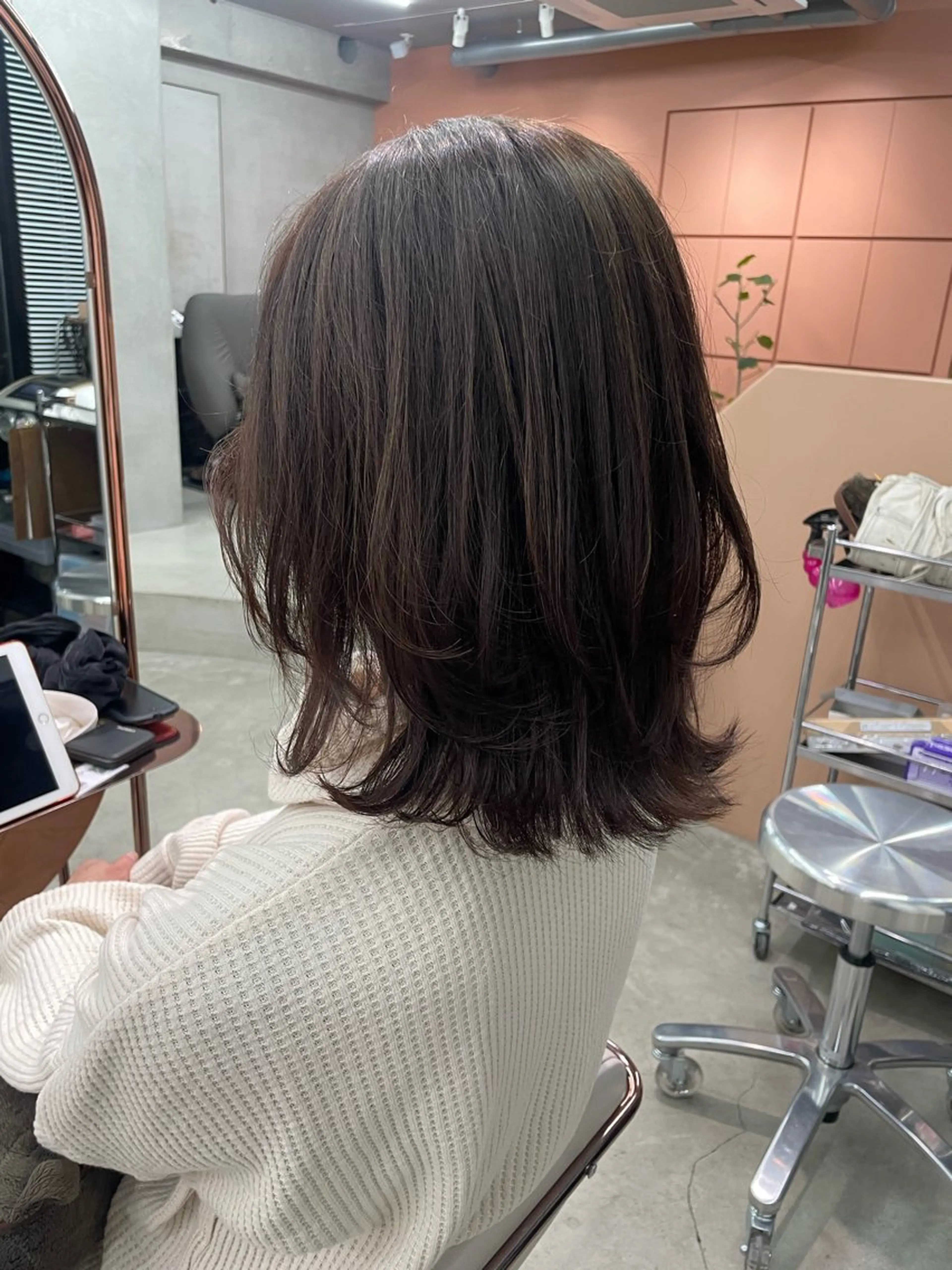 セミロング レイヤーカット 鶴井 美空のヘアスタイル
