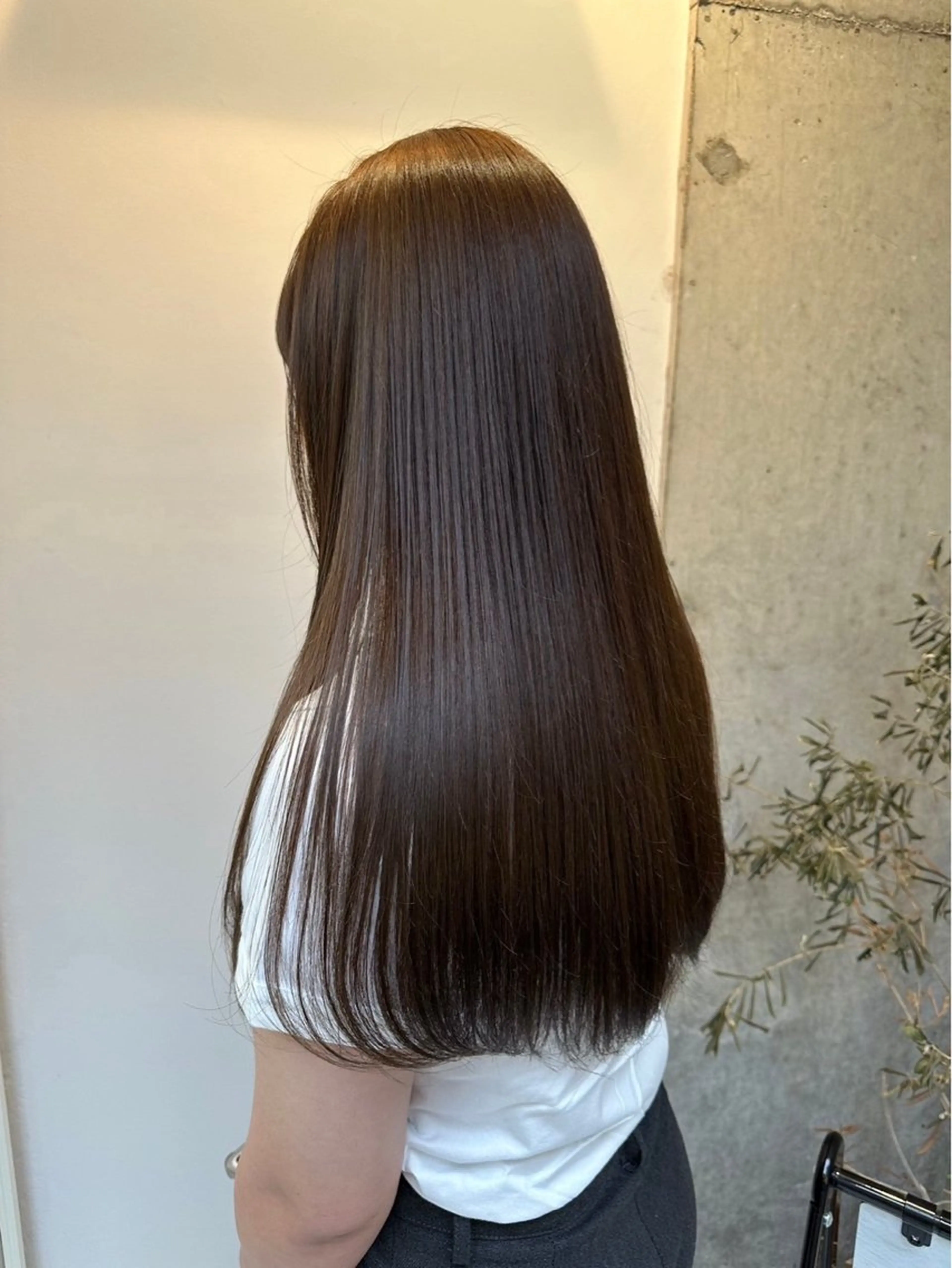 平日限定‼️🎀𓈒𓏸カット＋カラー（ブリーチなし）🎀𓈒𓏸⚠️メンズ可、レディース可の写真