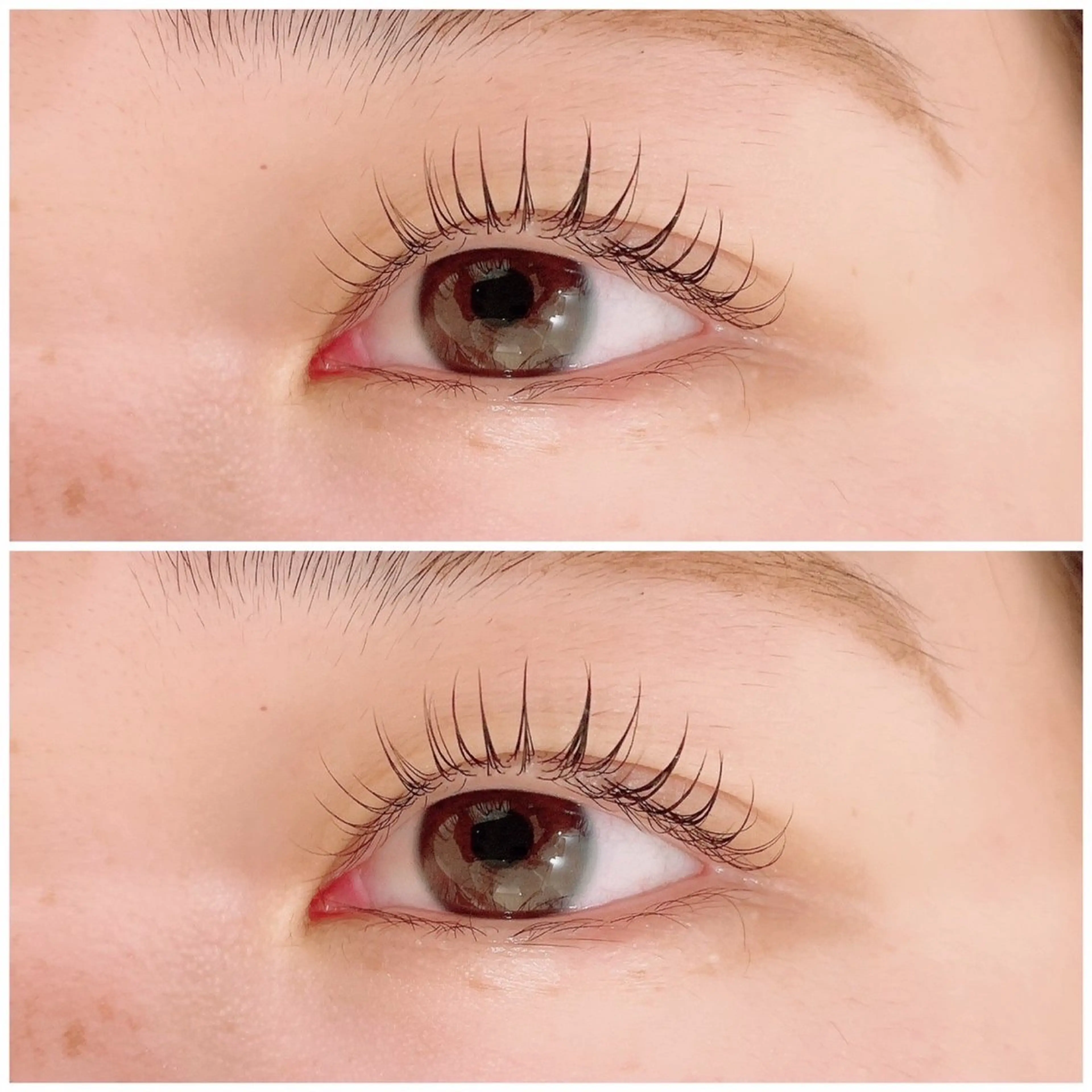 ‪🍨高濃度アミノ酸ラッシュリフト🍨(＋コーティング仕上げ)の写真