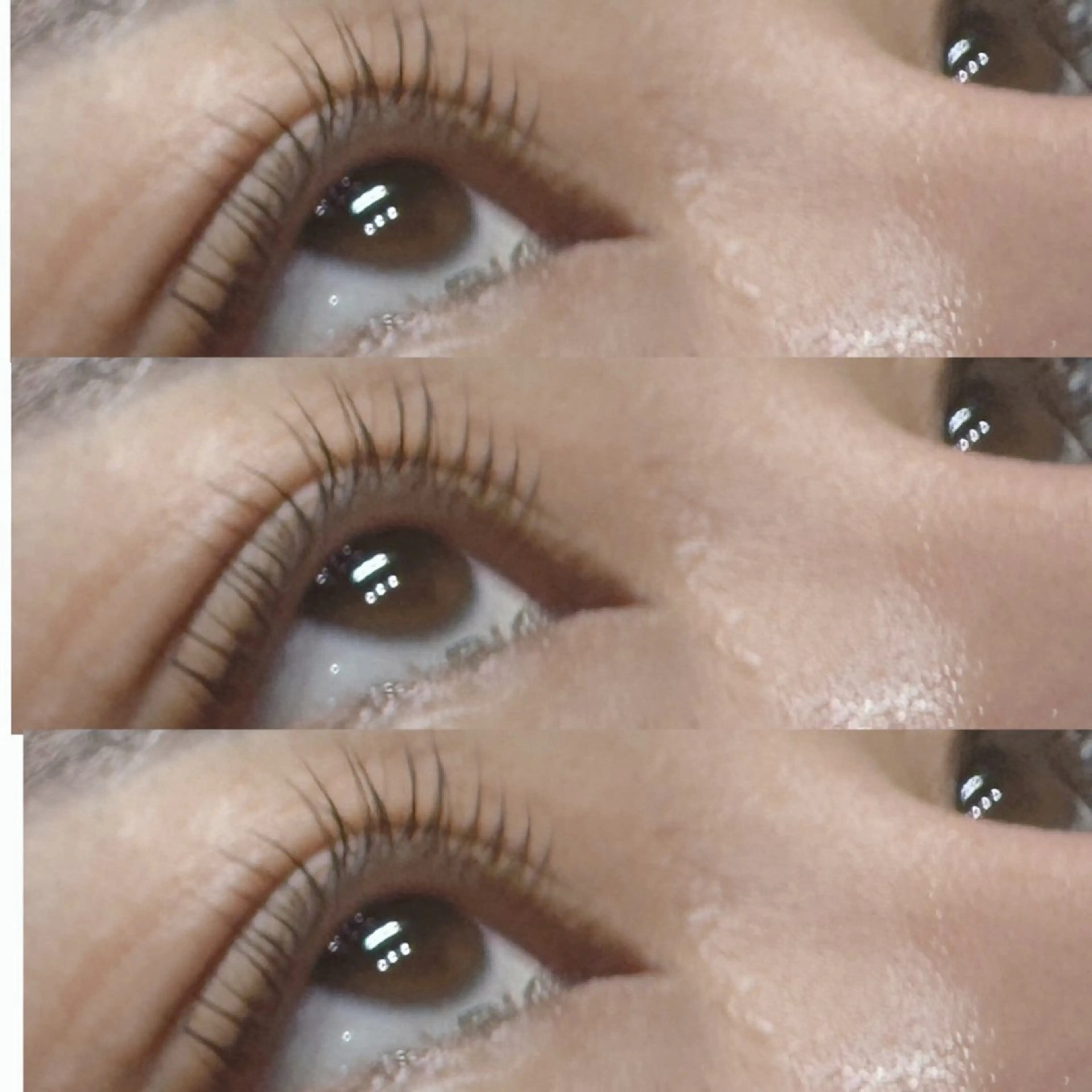 🫧パリジェンヌラッシュリフト🫧+アイシャンプー🧴の写真