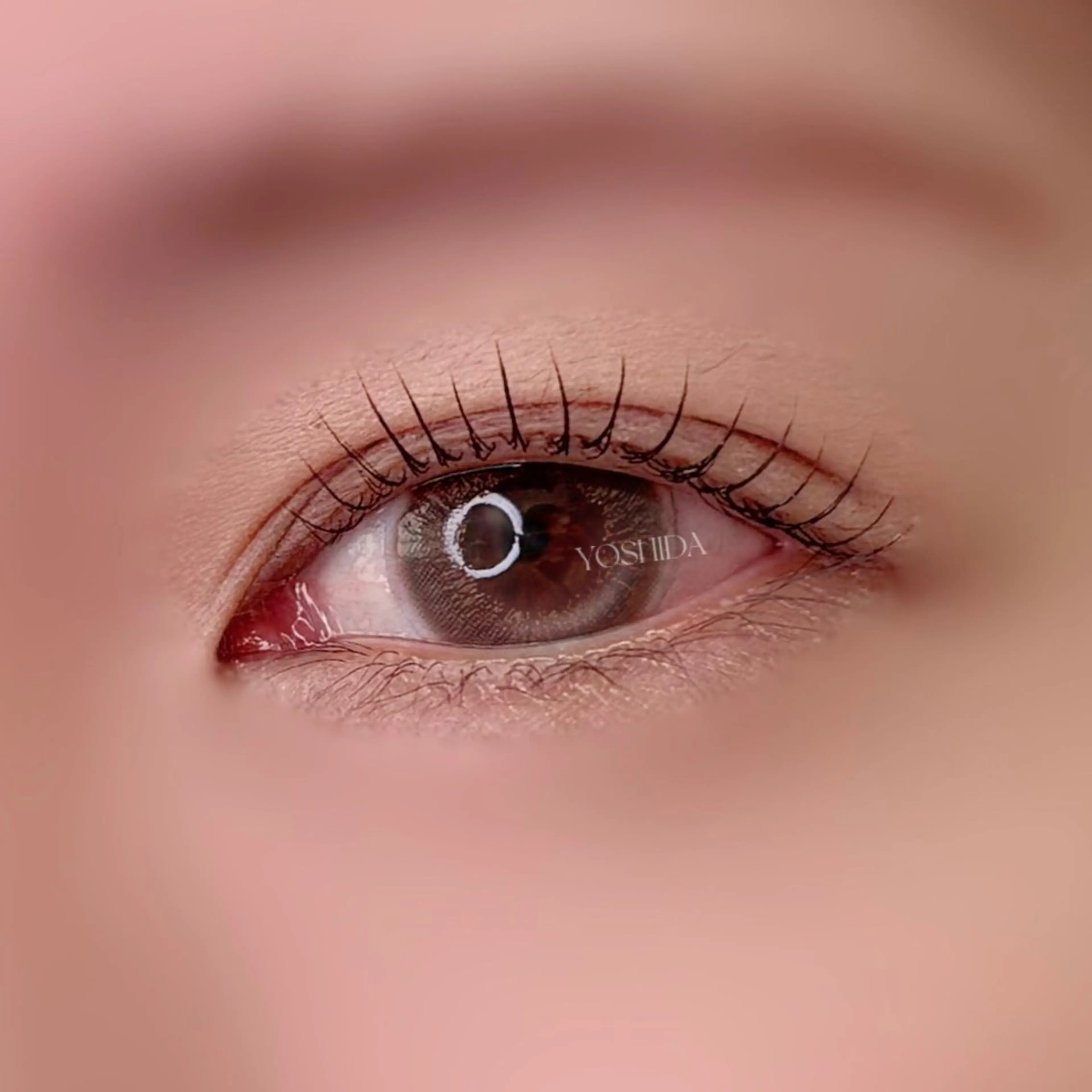 マツエク・マツパ ナチュラル 【一重┊︎奥二重】 YOSHIDA🌙の眉毛・アイブロウイメージ