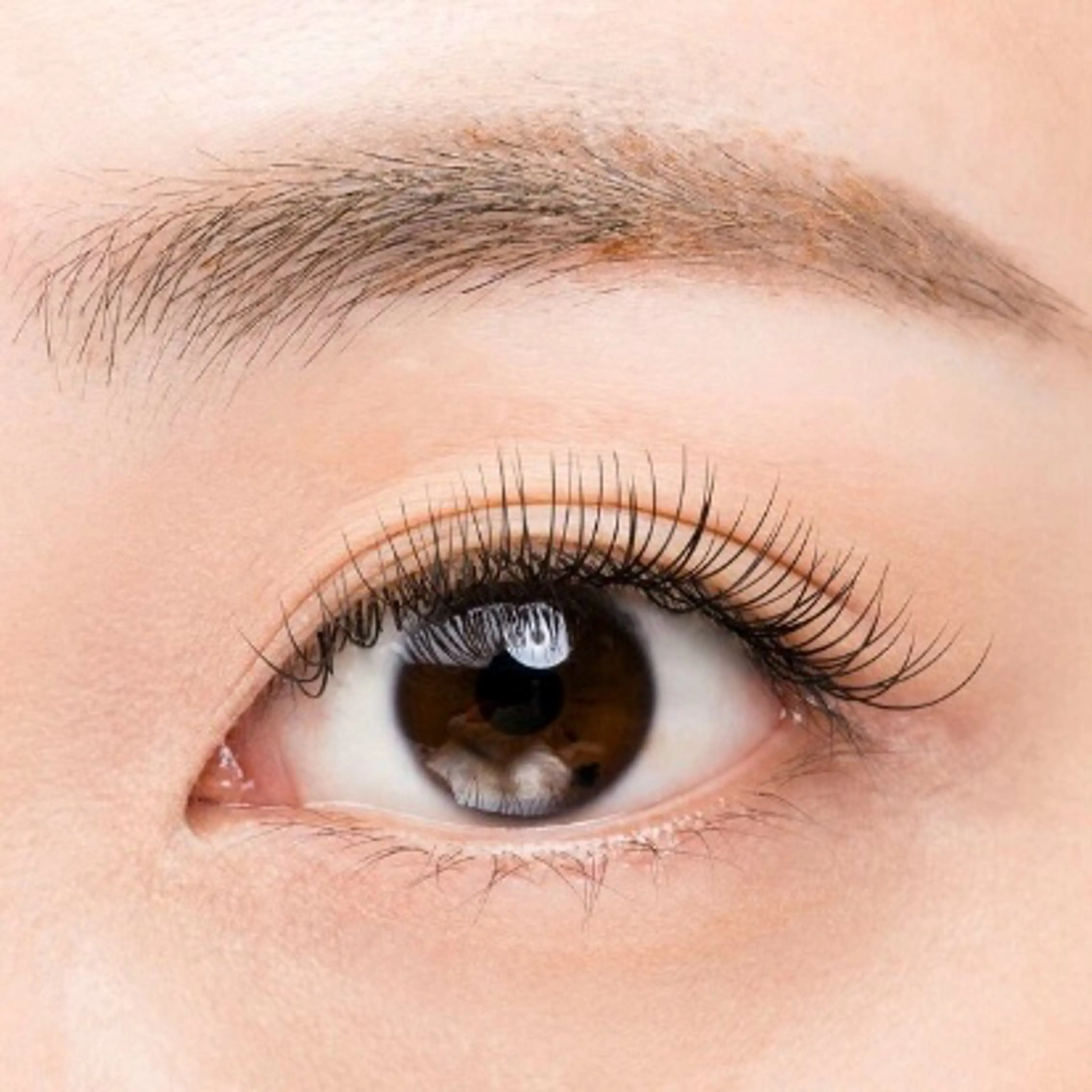 マツエク・マツパ ビューマインド　トレーニングセンター所属・まつエクモデル様募集 無料❕hinataのマツエク・マツパデザイン