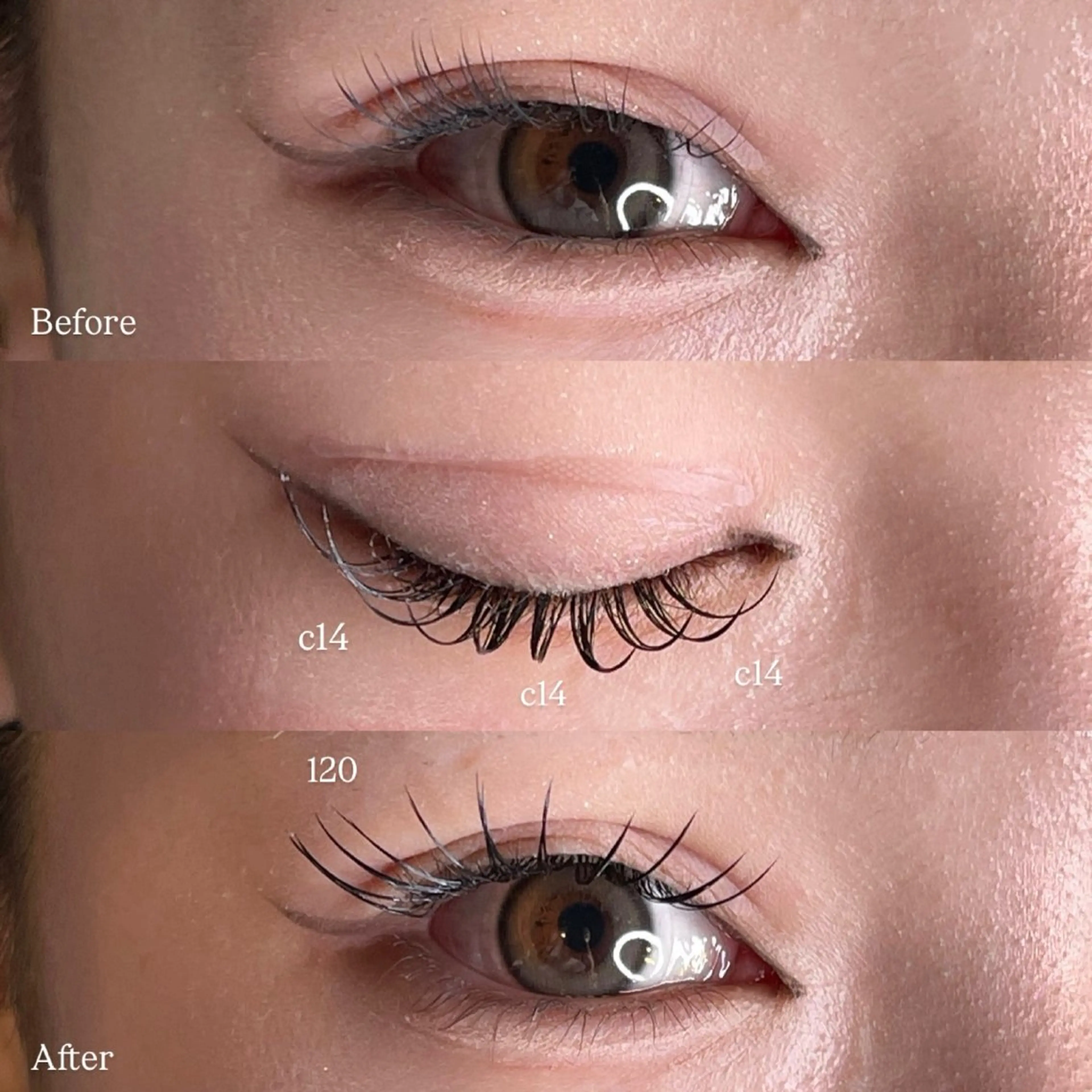 マツエク・マツパ ty  nail & eyelash salon所属・ty eyelash salonのマツエク・マツパデザイン