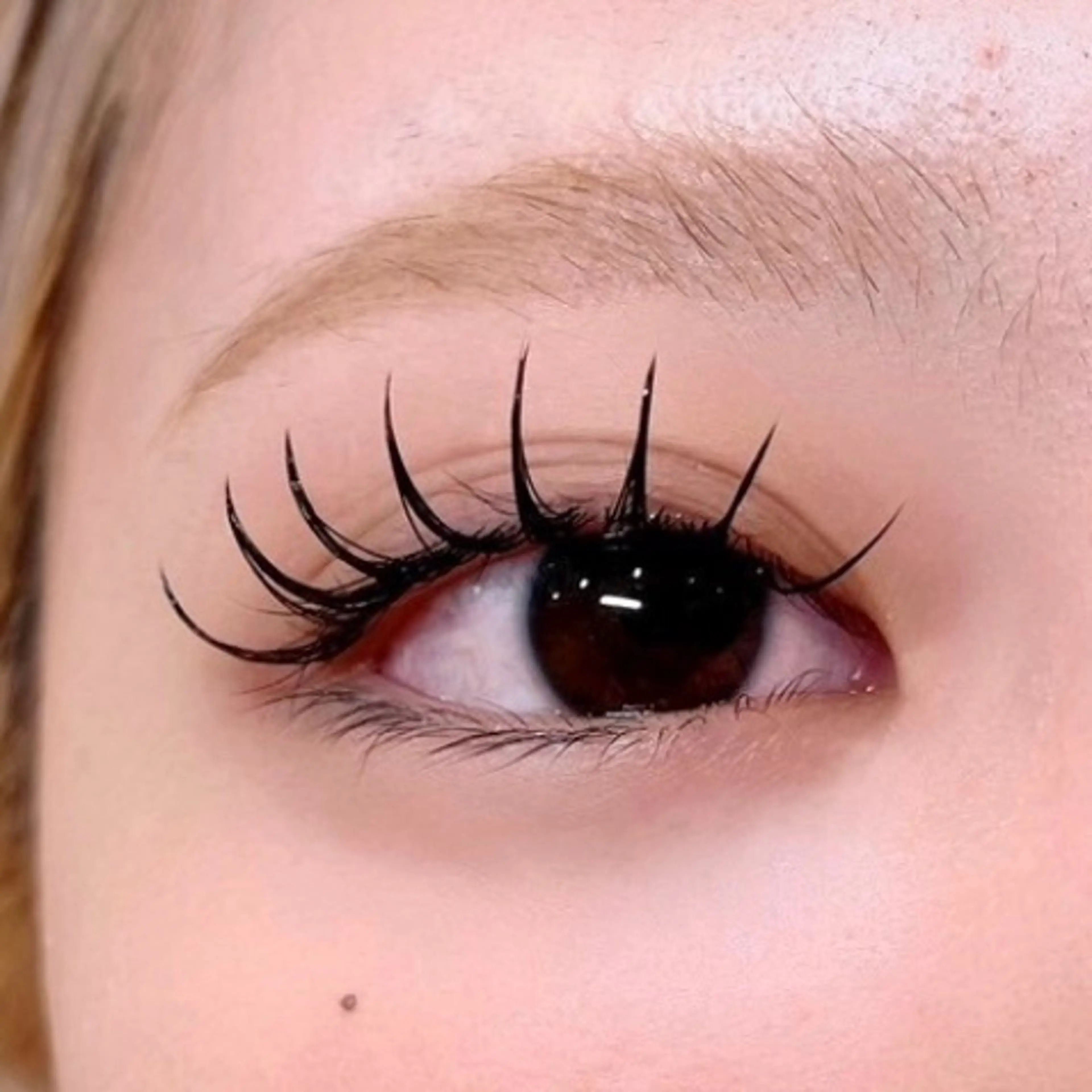 マツエク・マツパ 長尾 桃果 🫧 eyelistの眉毛・アイブロウイメージ