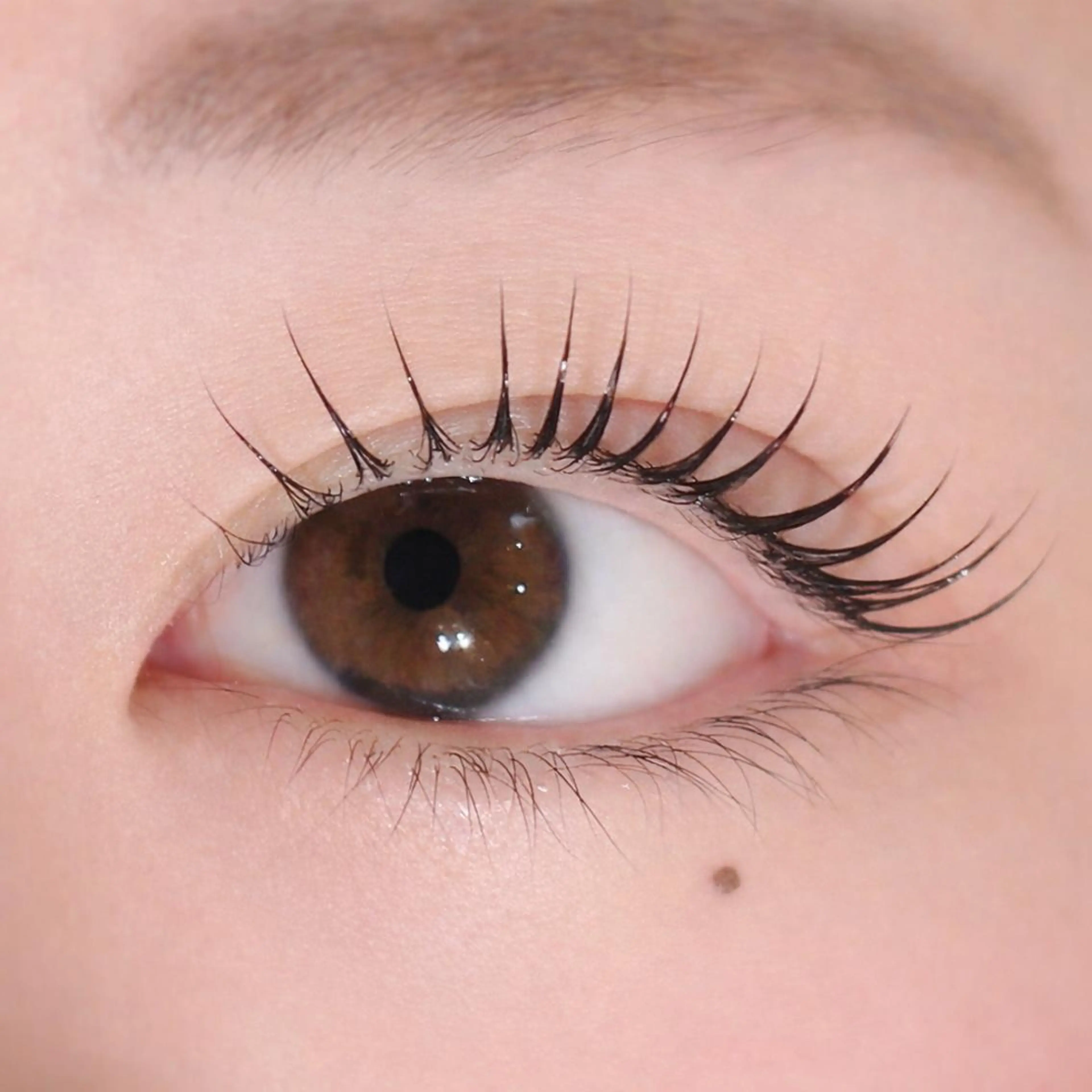 マツエク・マツパ 束感まつ毛 フラットラッシュ 韓国風マツエク パリジェンヌラッシュリフト まつげパーマ マツパ Biolus/天王寺 2号店🌼Arisaのマツエク・マツパデザイン