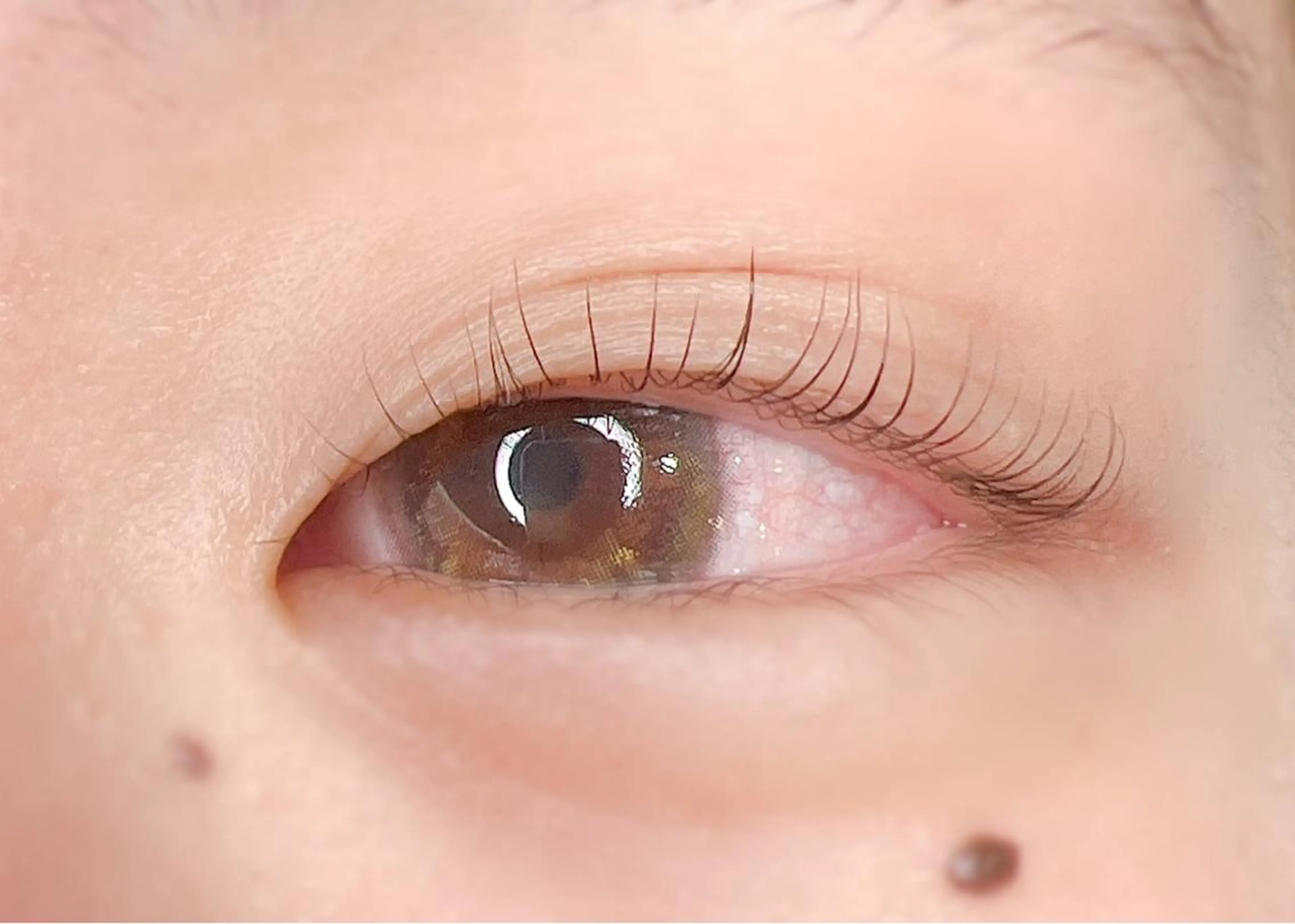 マツエク・マツパ ケラチンラッシュリフト マツパ LASHIQ南堀江 奥優美のマツエク・マツパデザイン