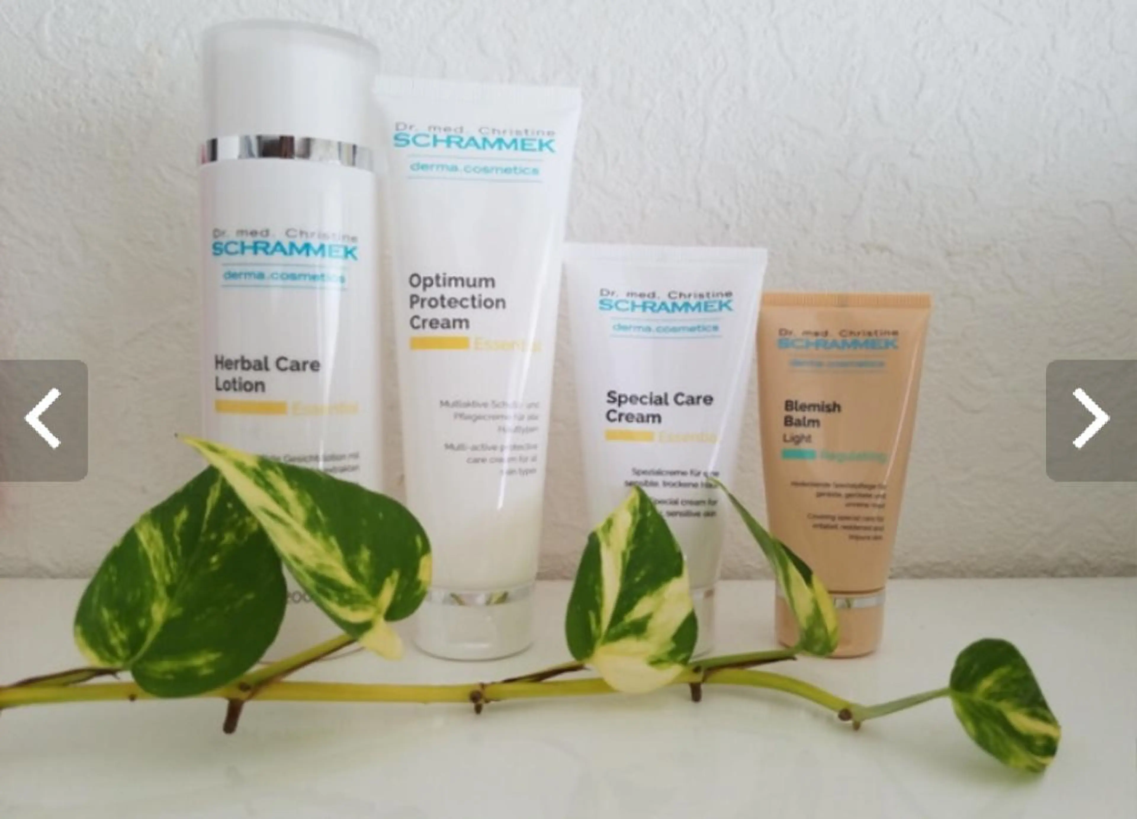 金納 まゆみのエステ・リラクイメージ