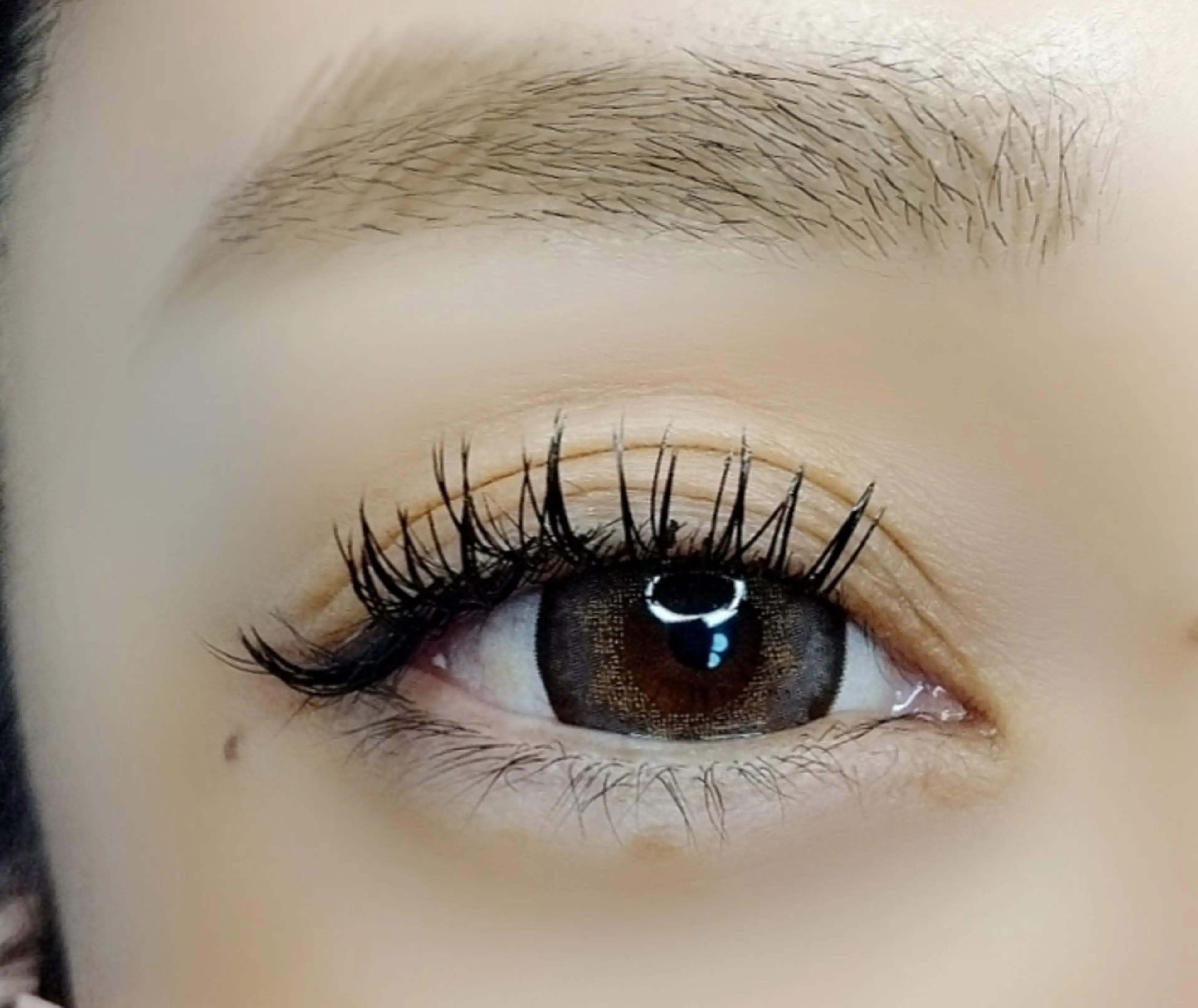 マツエク・マツパ フラットラッシュ マツエク maison calmeのマツエク・マツパデザイン