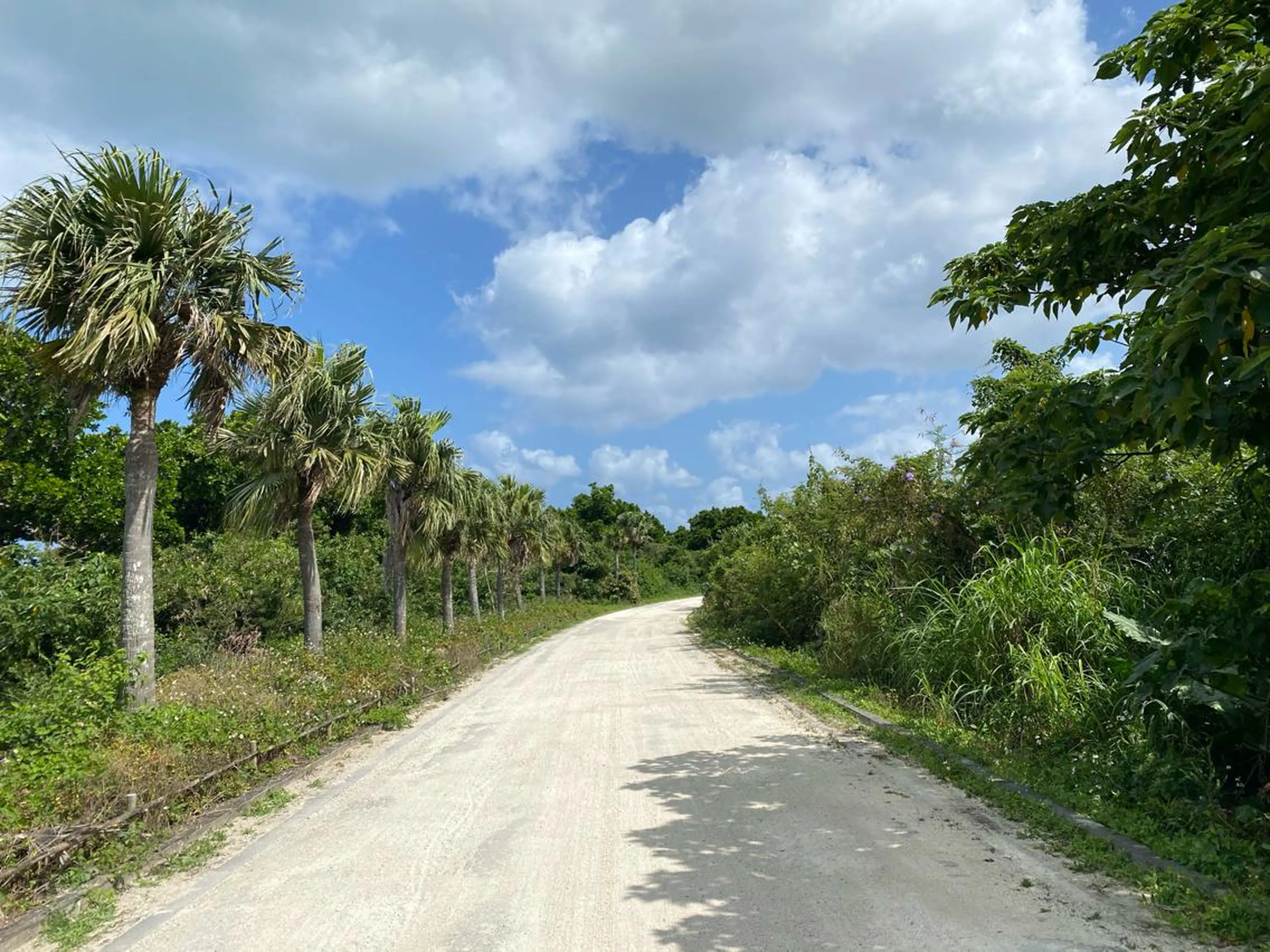 マツエク・マツパ eyelash  salon Nalu.所属・🌊♡ 京急川崎のマツエク・マツパデザイン