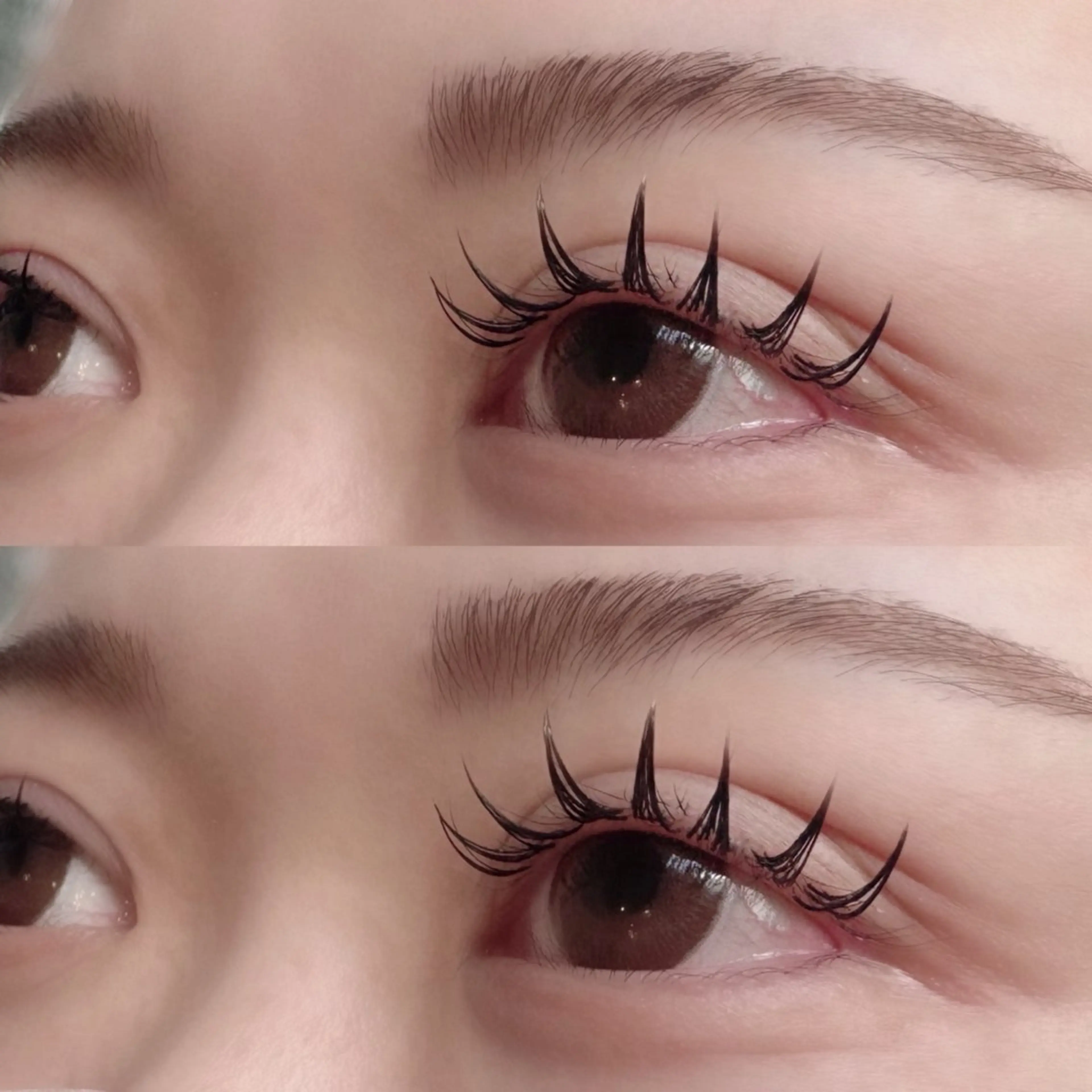 🧸ダブルフラット 60束🧸の写真