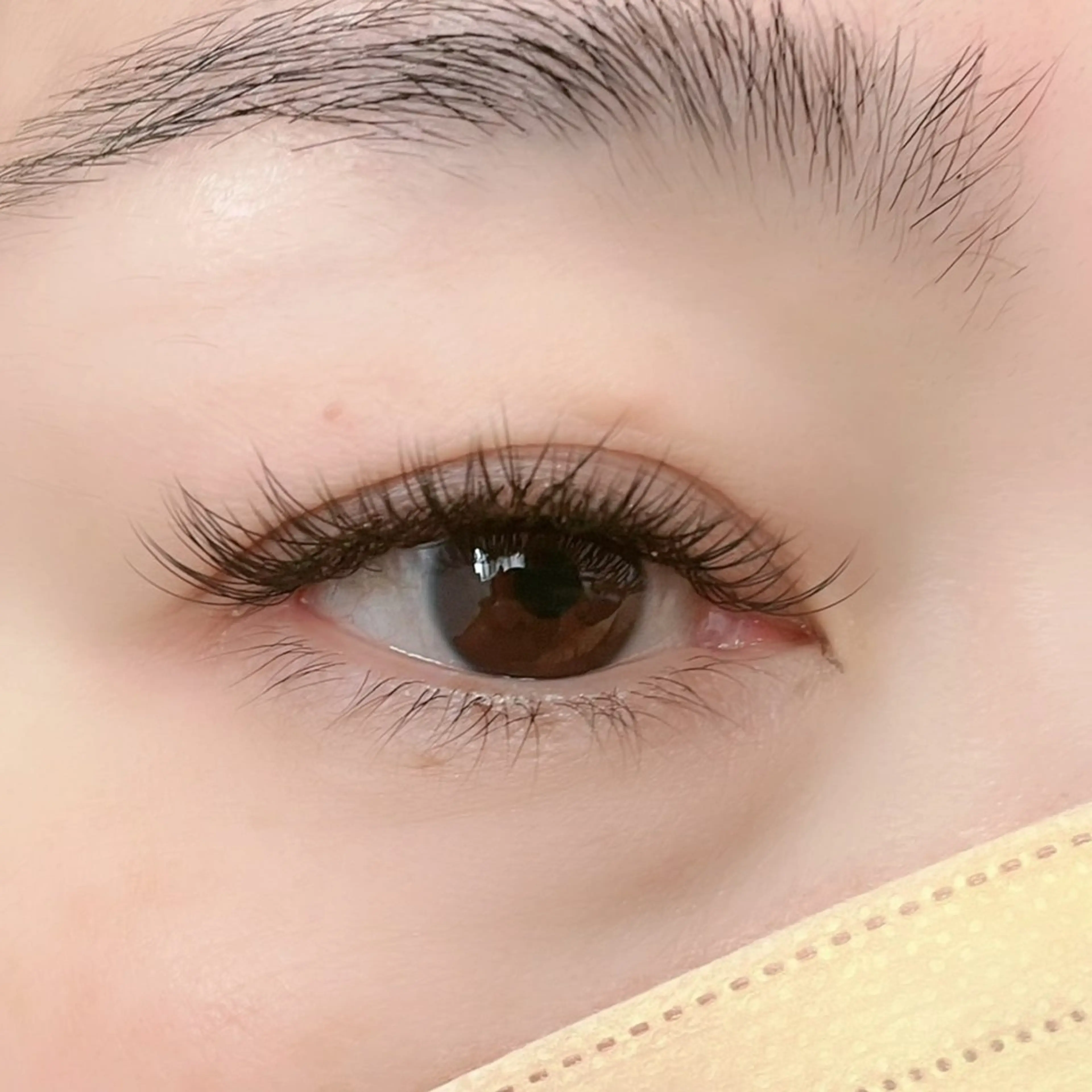 マツエク・マツパ Cカール セーブル milinoah 🧸Aiko🧸のマツエク・マツパデザイン