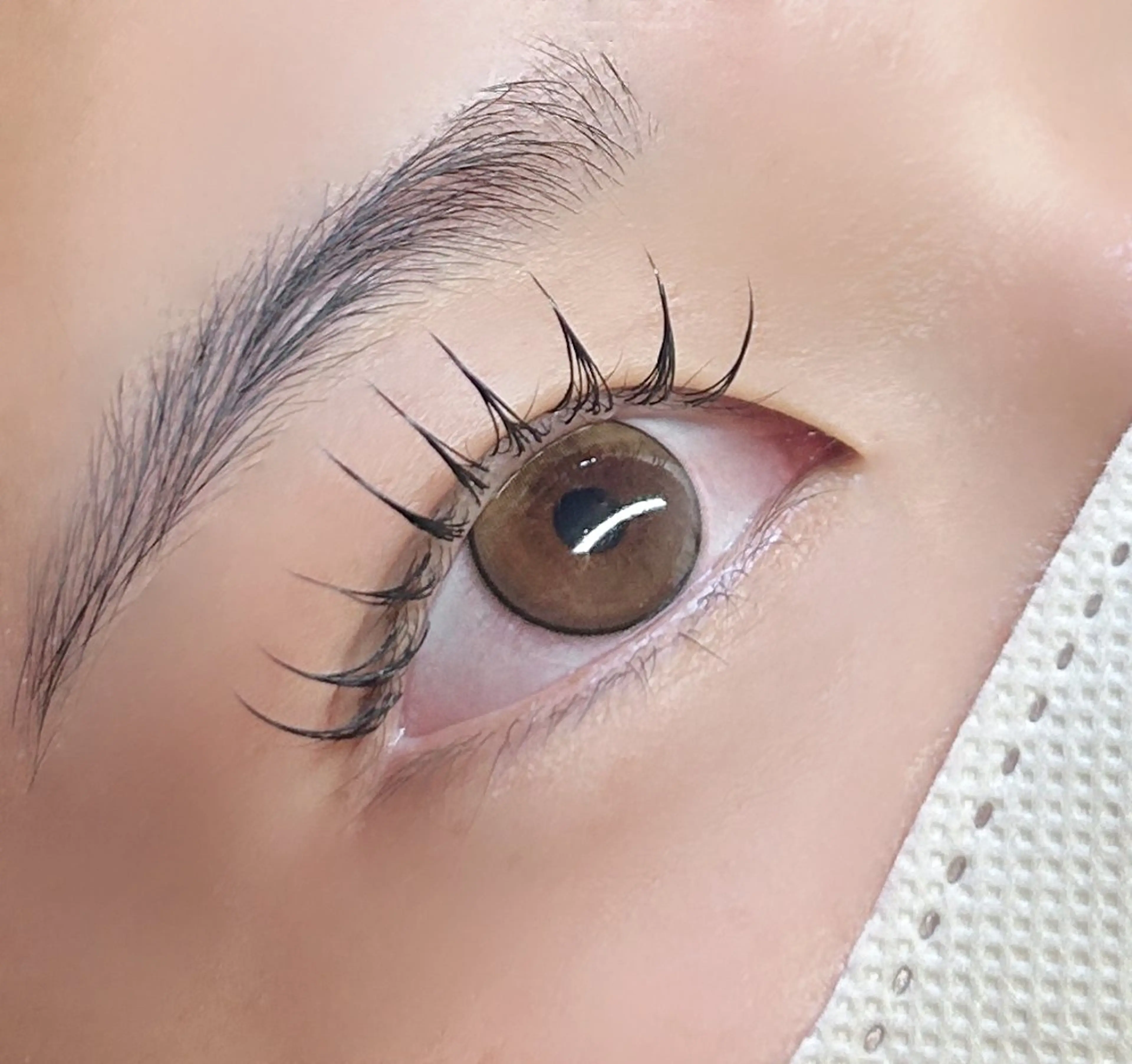 アップラッシュ付きフラットマットラッシュ100~120本の写真